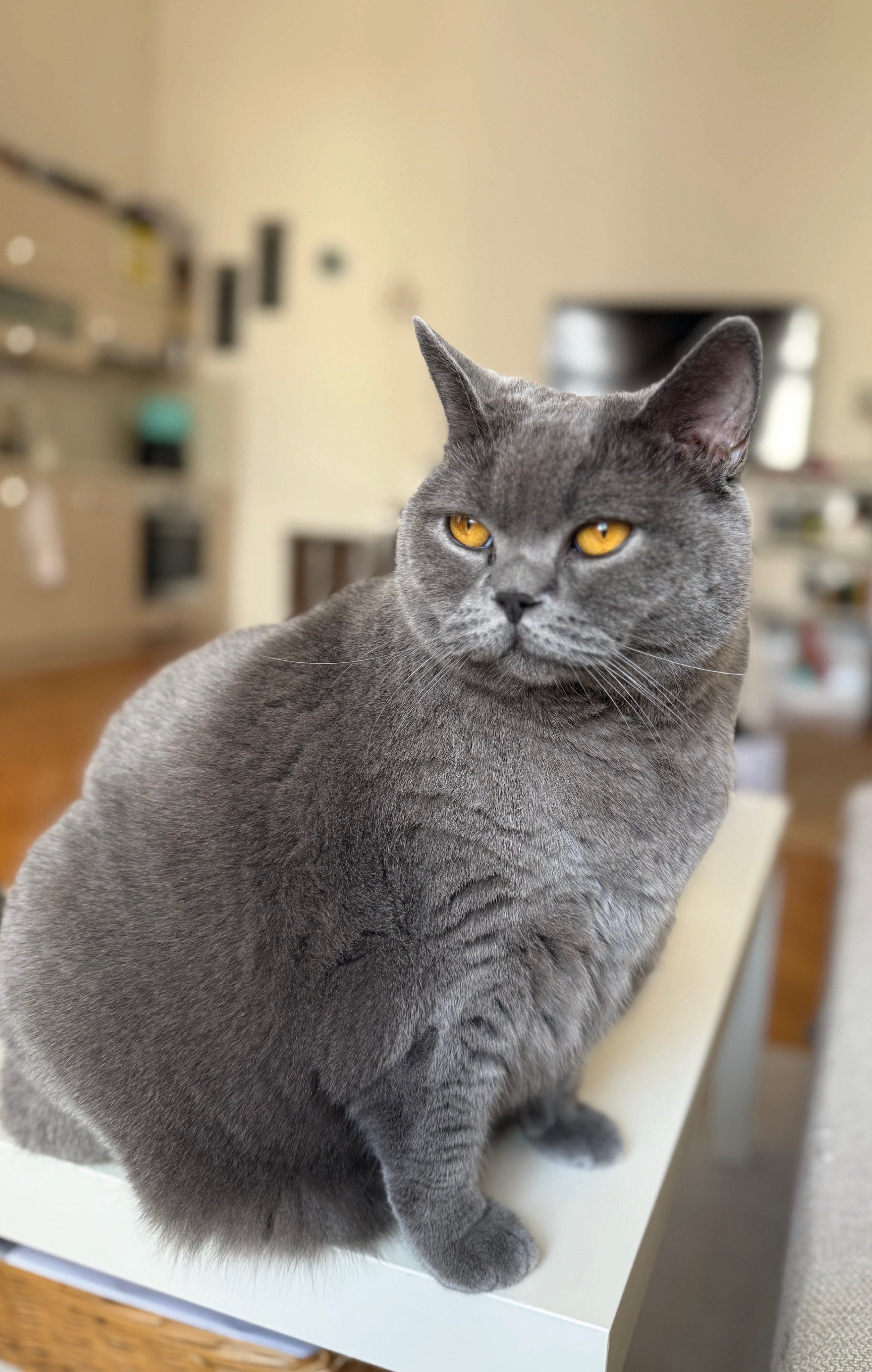 Autor: Cindy Kerberová Autor: Cindy Kerberová