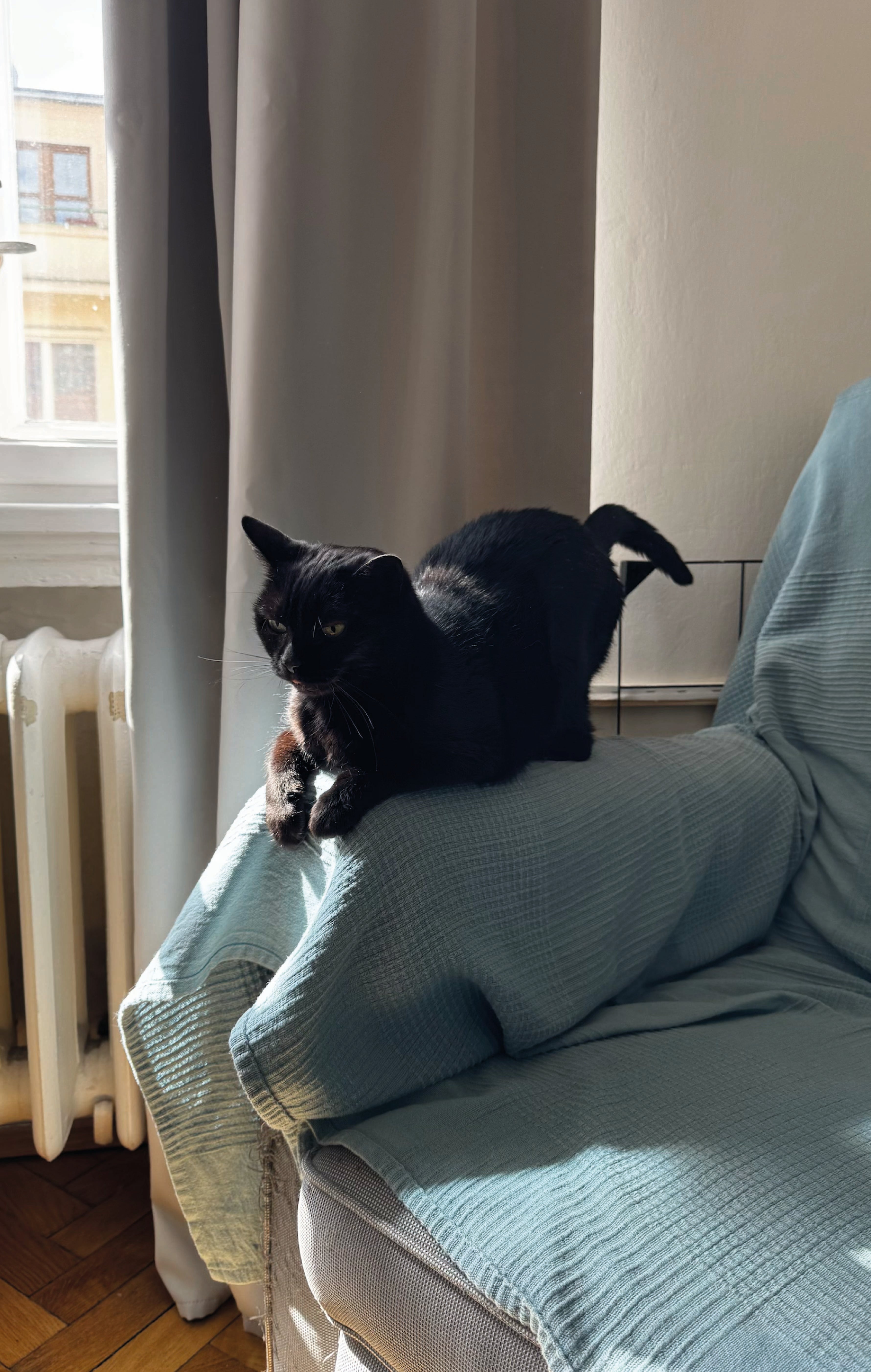 Autor: Kateřina Špičáková