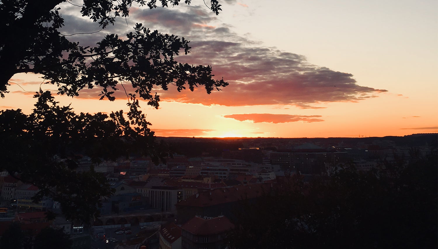 Kdyby Praha byla parfém