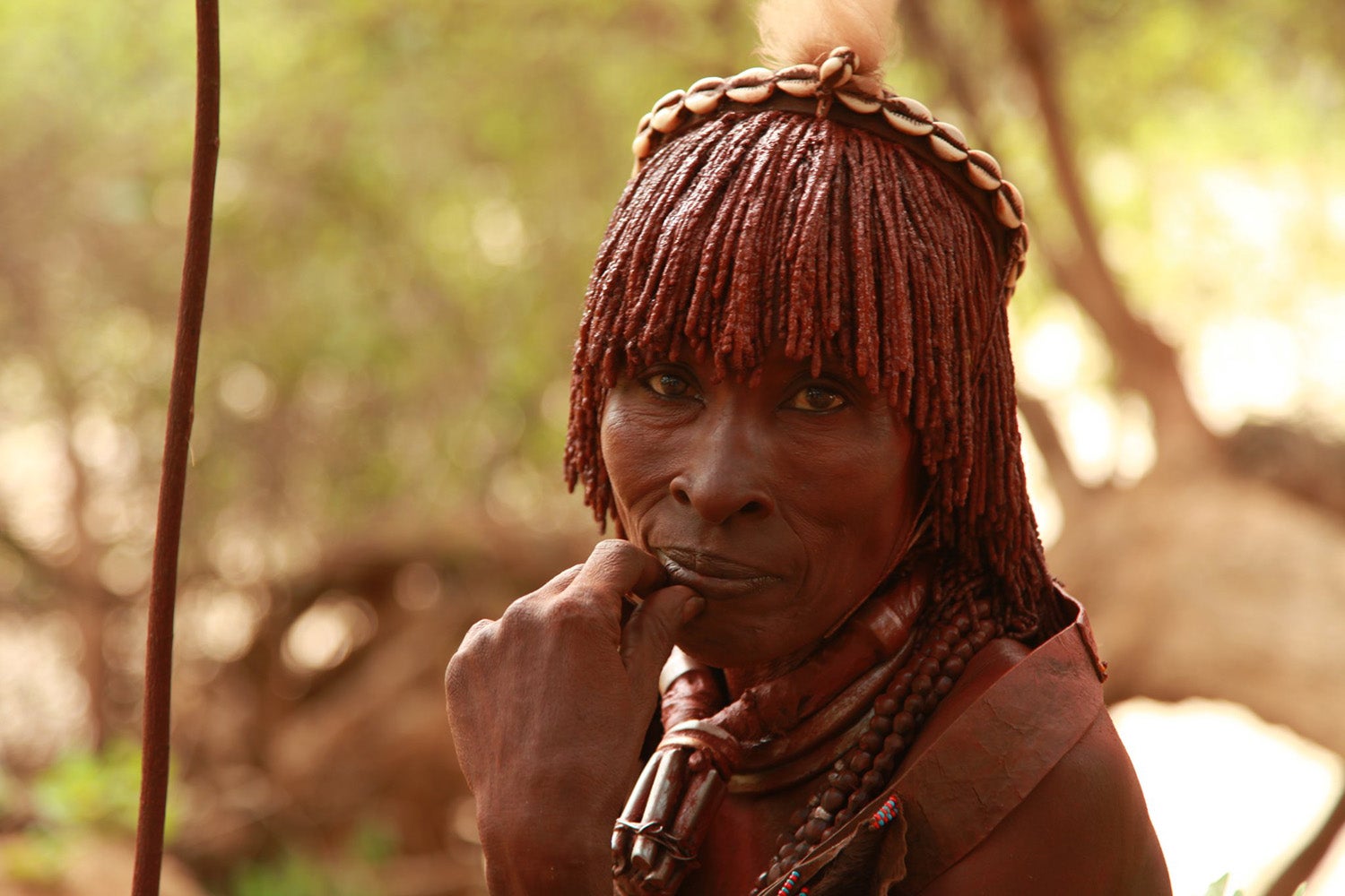 Společenstva lovců a sběračů jsou součástí naší evoluční historie.