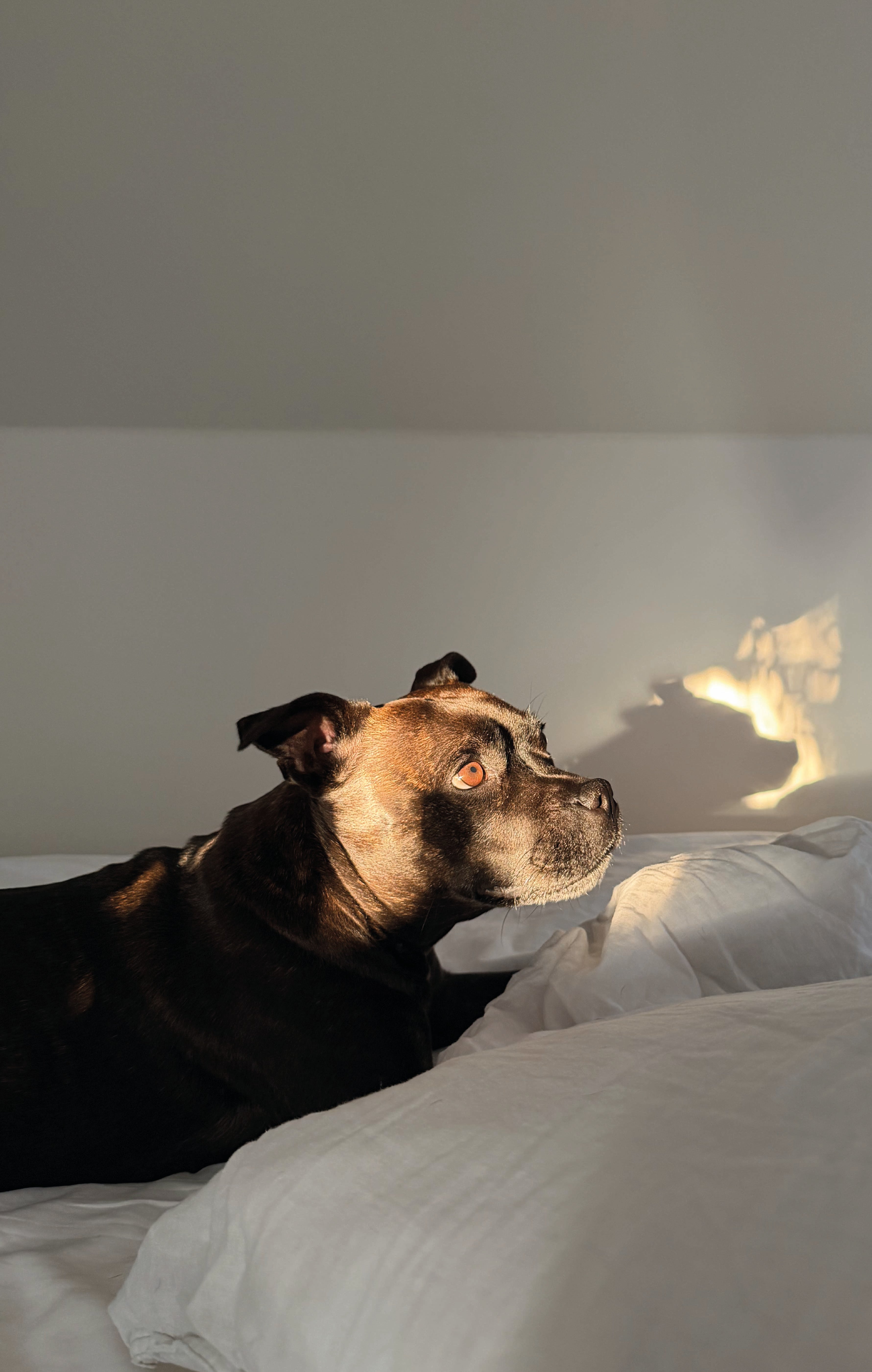 Autor: Róbert Kováč Autor: Róbert Kováč