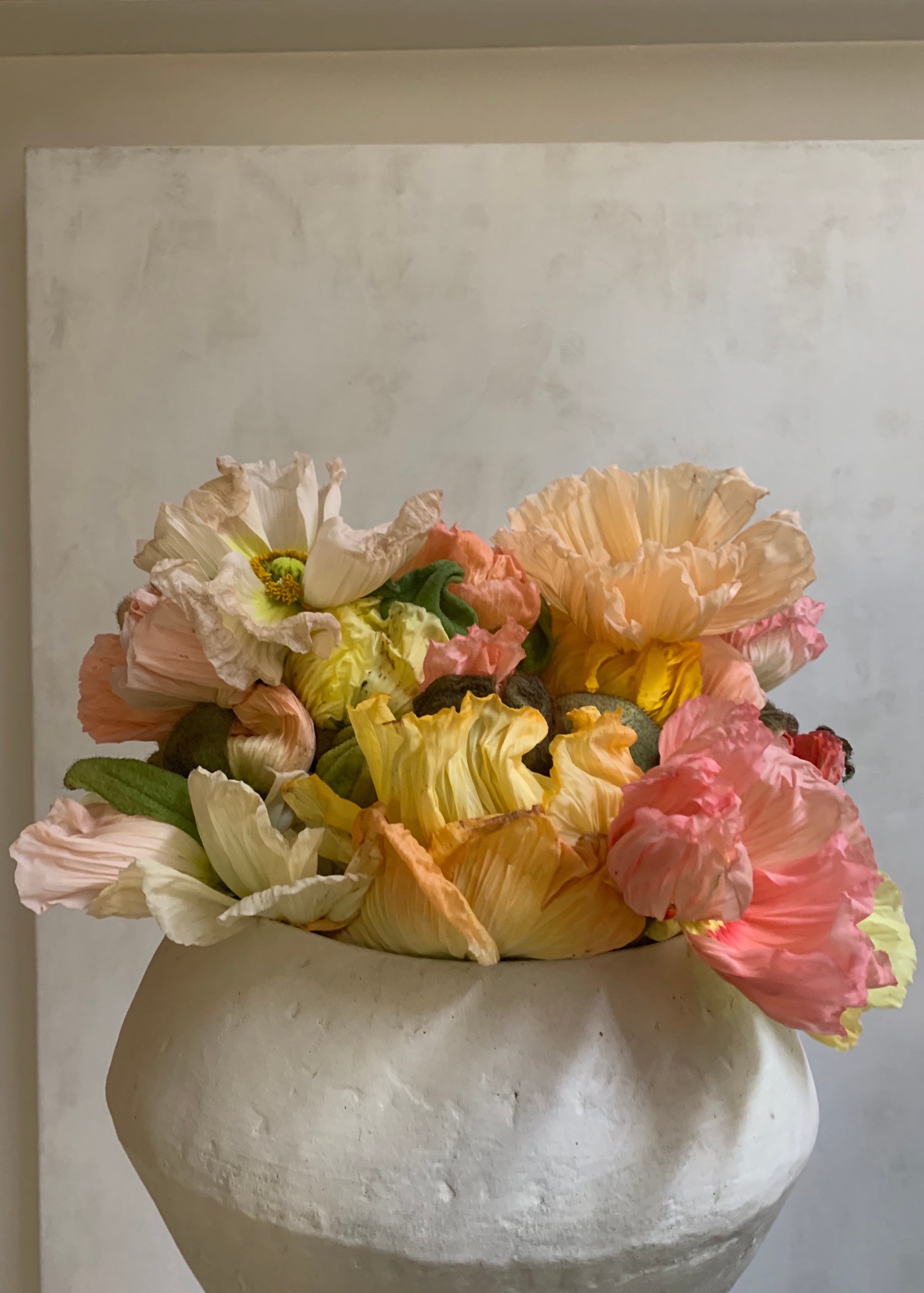 Jak módě vzplálo srdce pro islandské máky