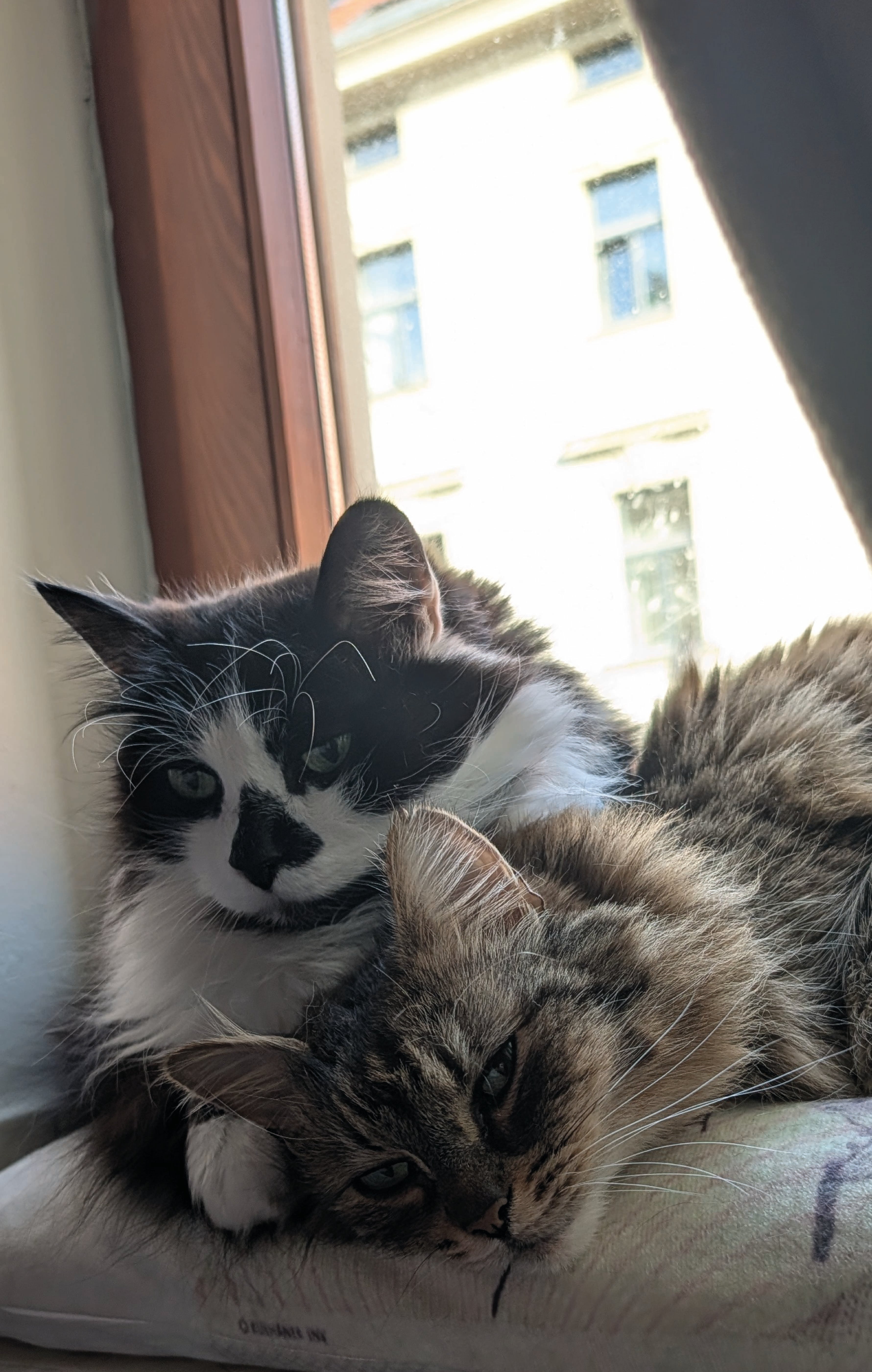 Autor: Jana Patočková