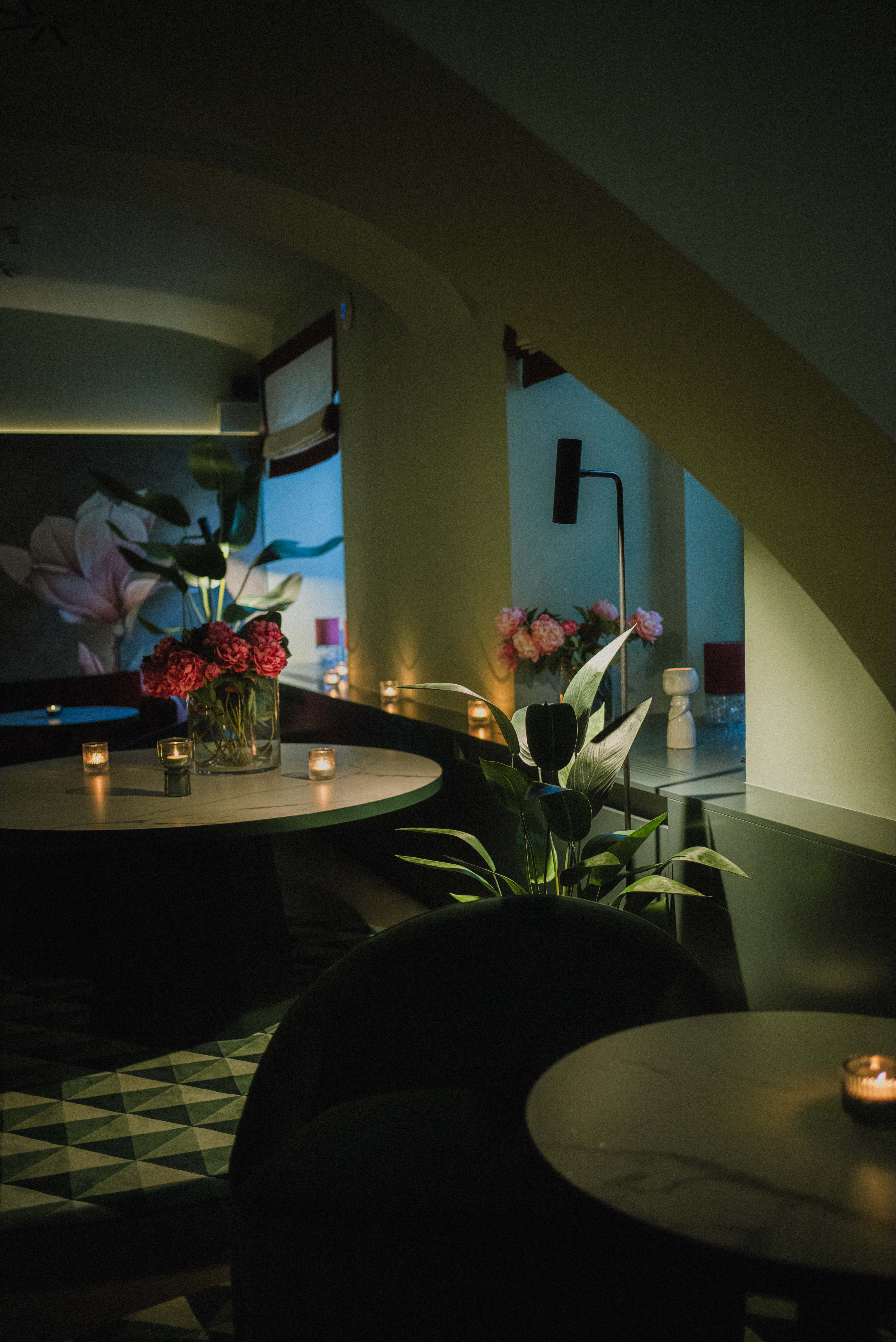 Monkey Bar Monkey Bar