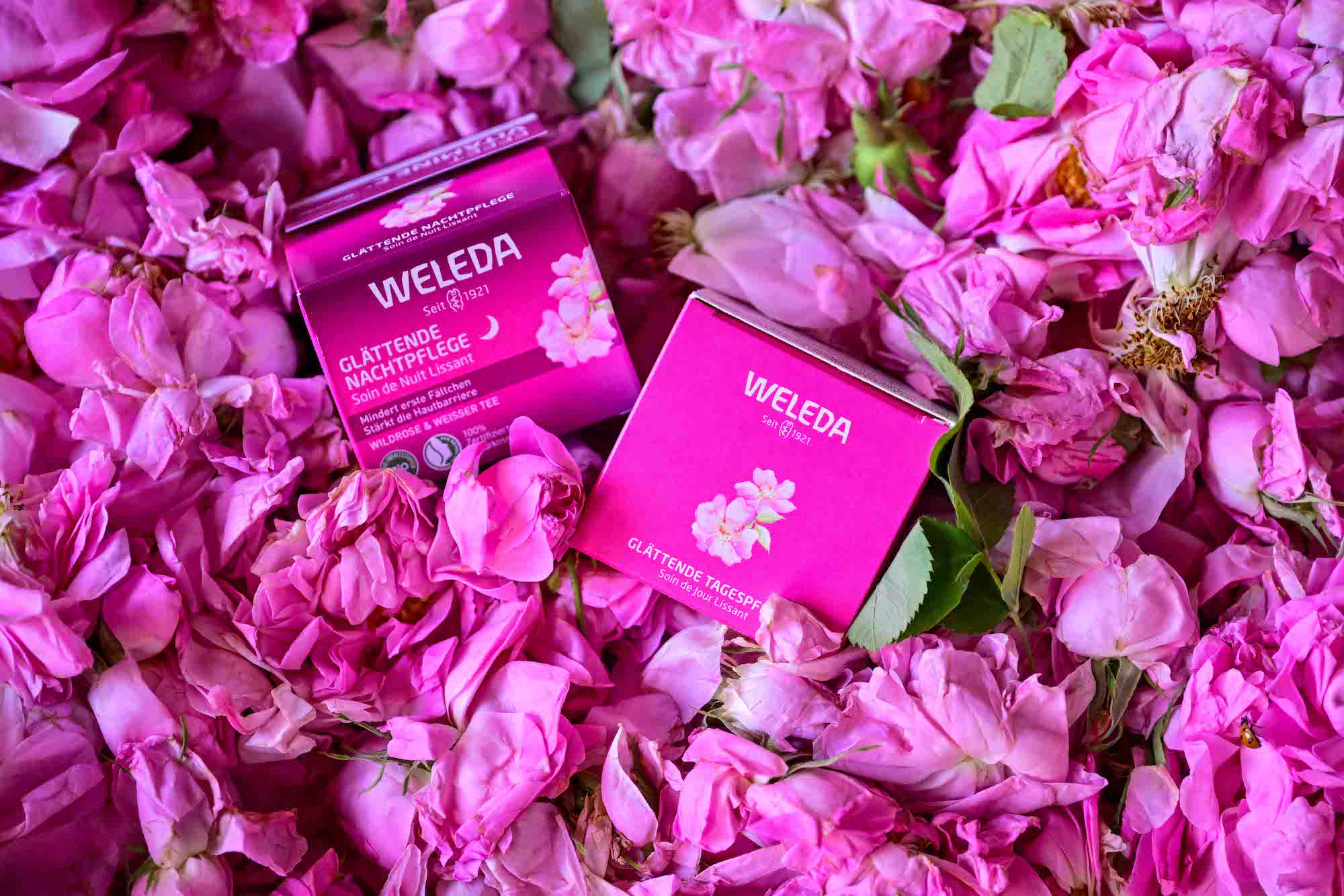 Pleťové krémy z řady Divoká růže a bílý čaj