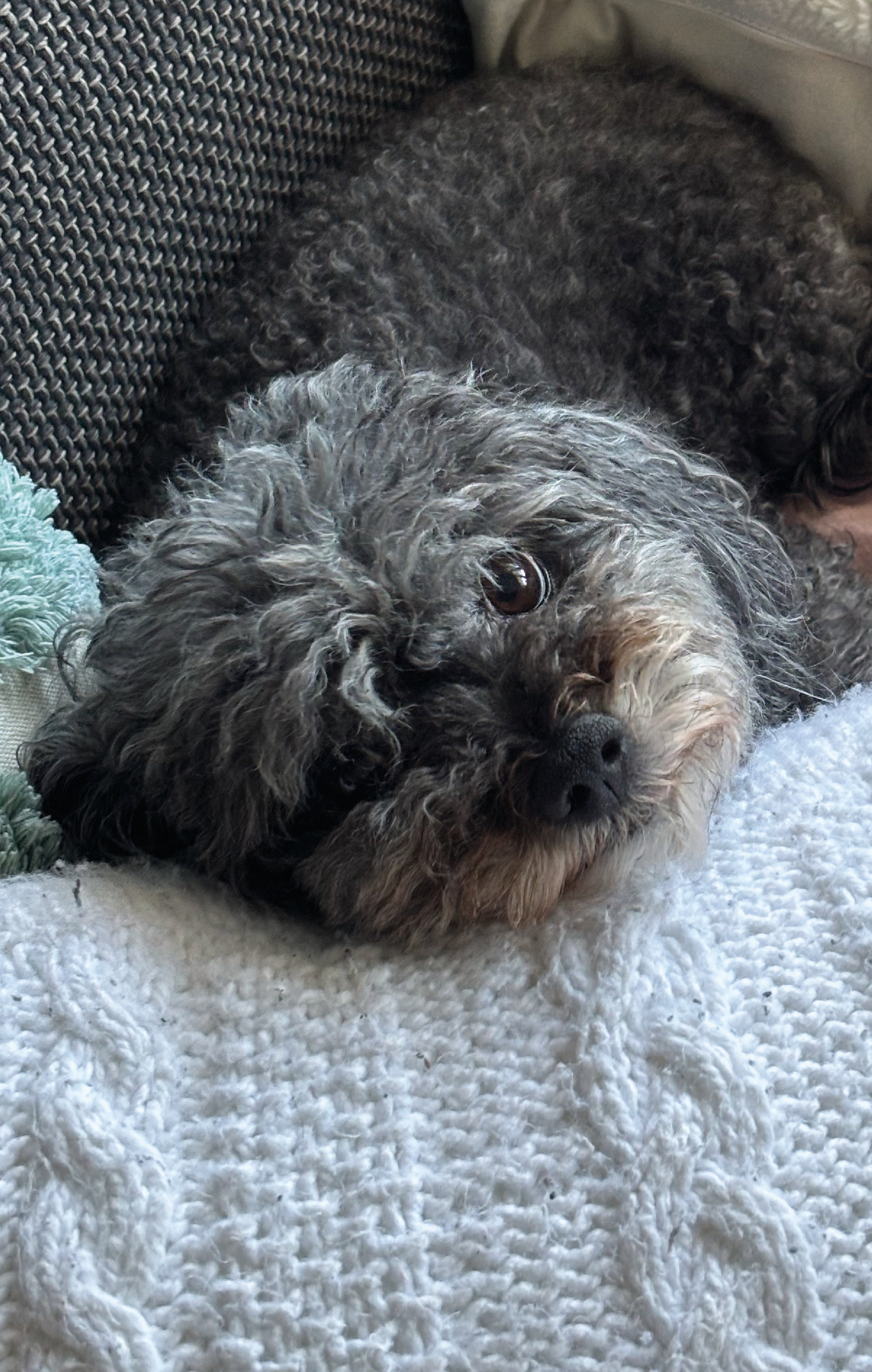 Autor: Barbora Joštová Autor: Barbora Joštová