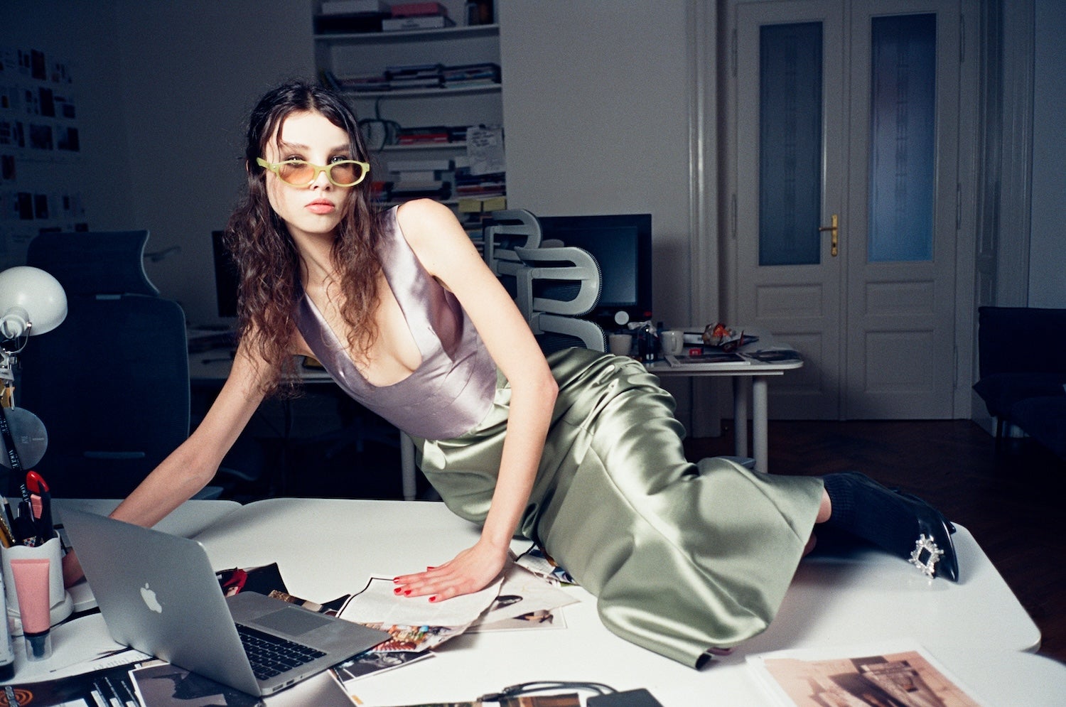 Labutě Borise Krále