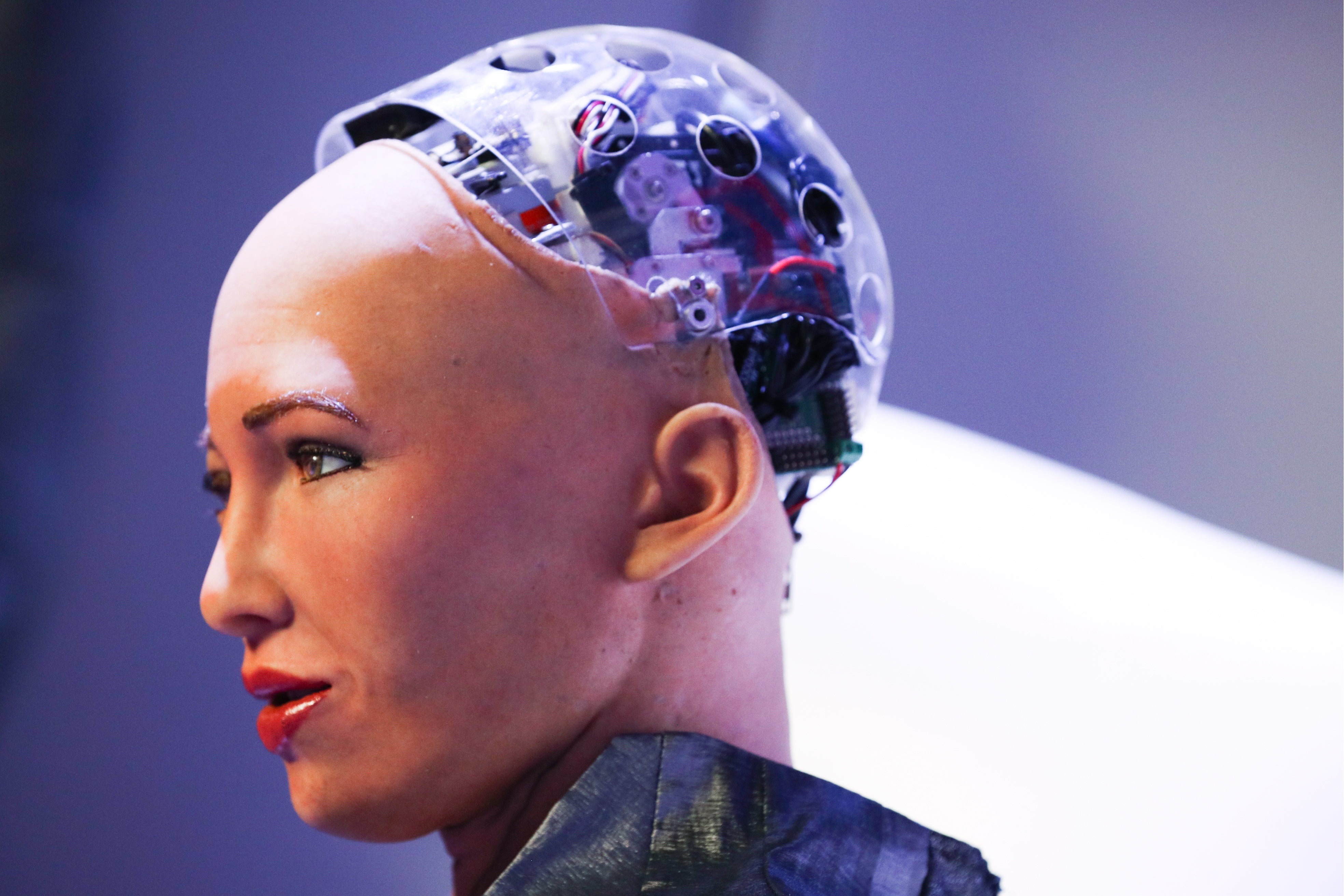 Robotka Sophia Autor: Getty Images