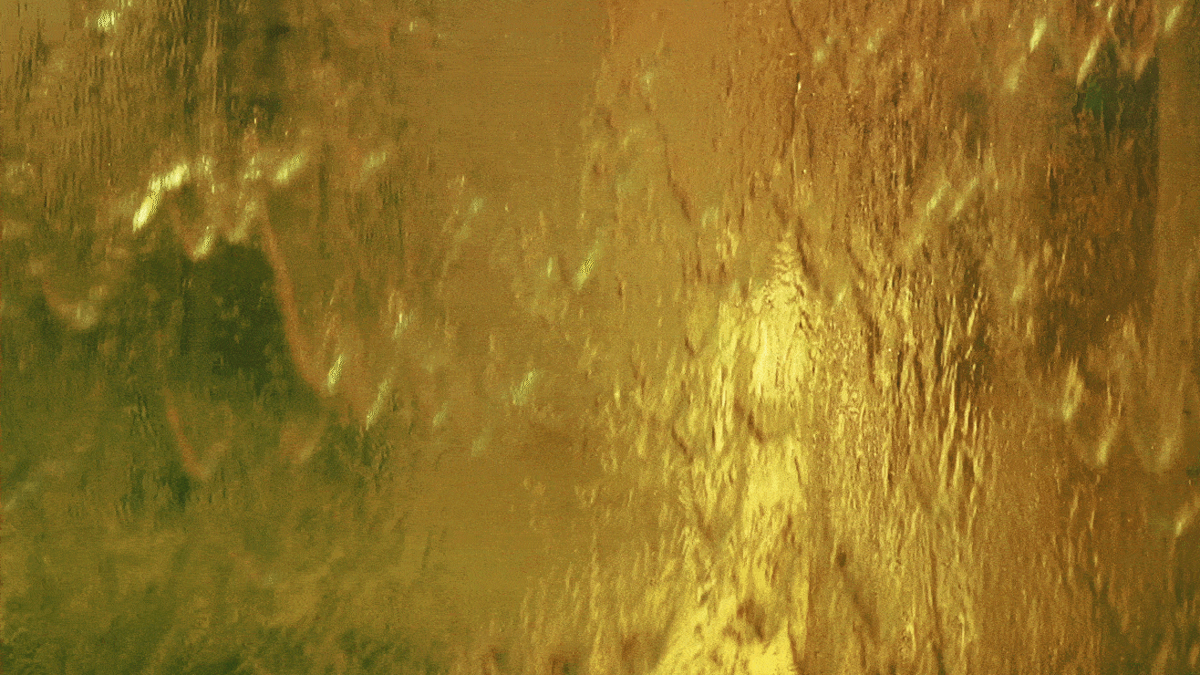 Autor: Getty Images Autor: Getty Images