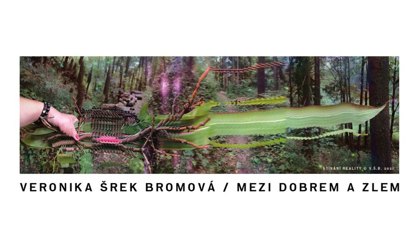 Veronika Šrek Bromová: Mezi dobrem a zlem