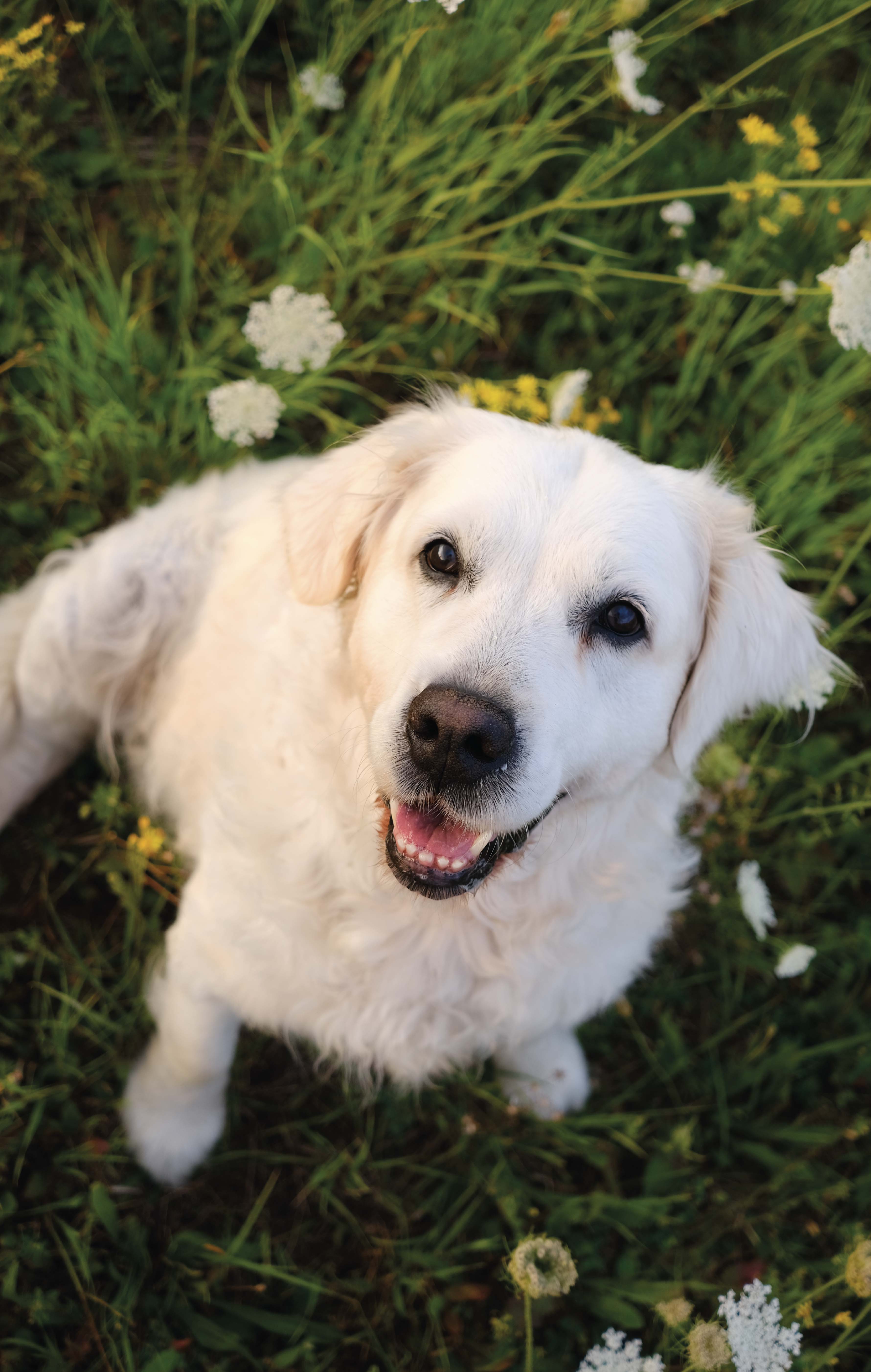 Autor: Alžběta Prosová