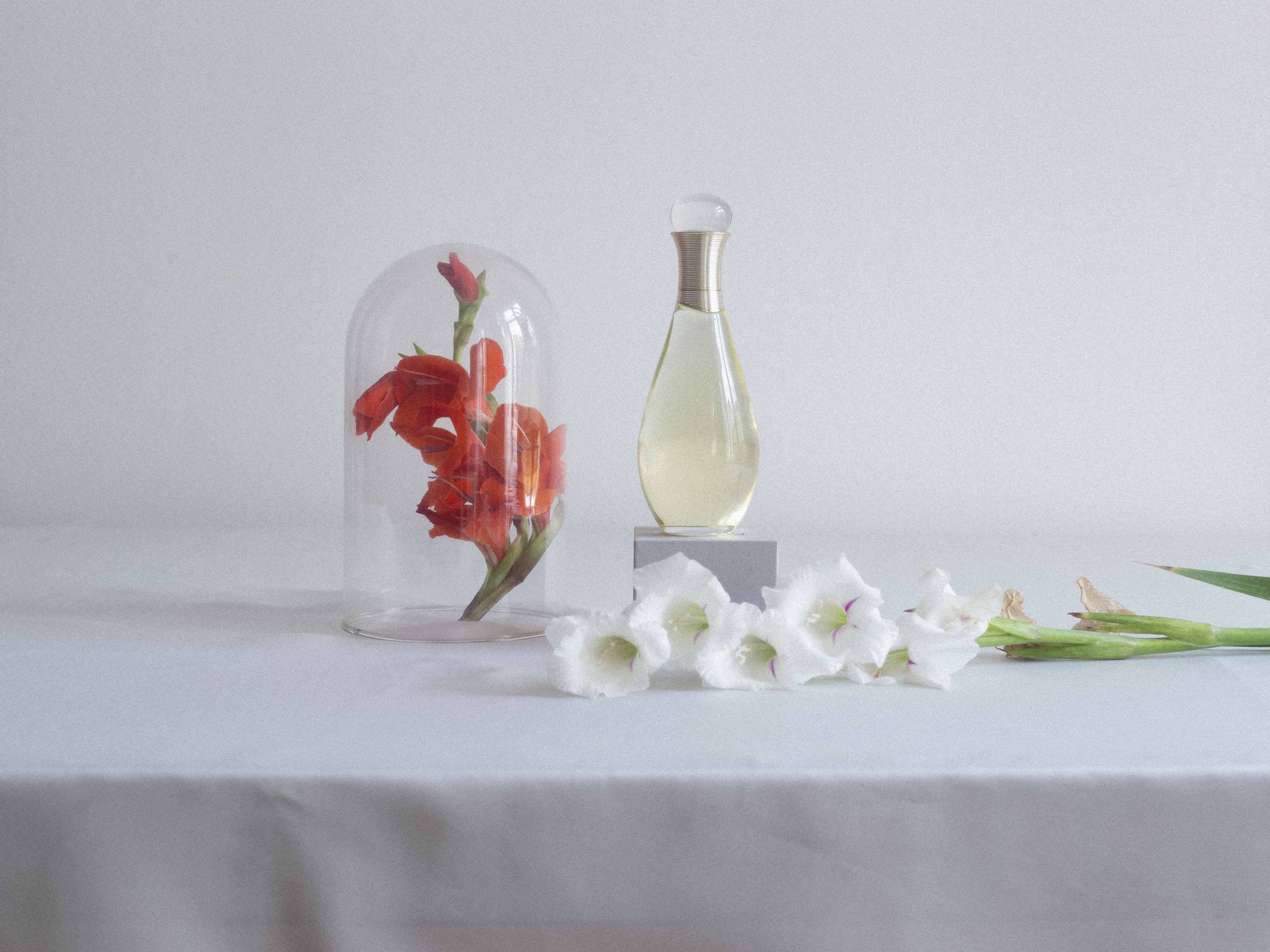 Suchý olej na tělo a vlasy J'Adore Huile Divine, DIOR, prodává FAnn, 1800 Kč Suchý olej na tělo a vlasy J'Adore Huile Divine, DIOR, prodává FAnn, 1800 Kč