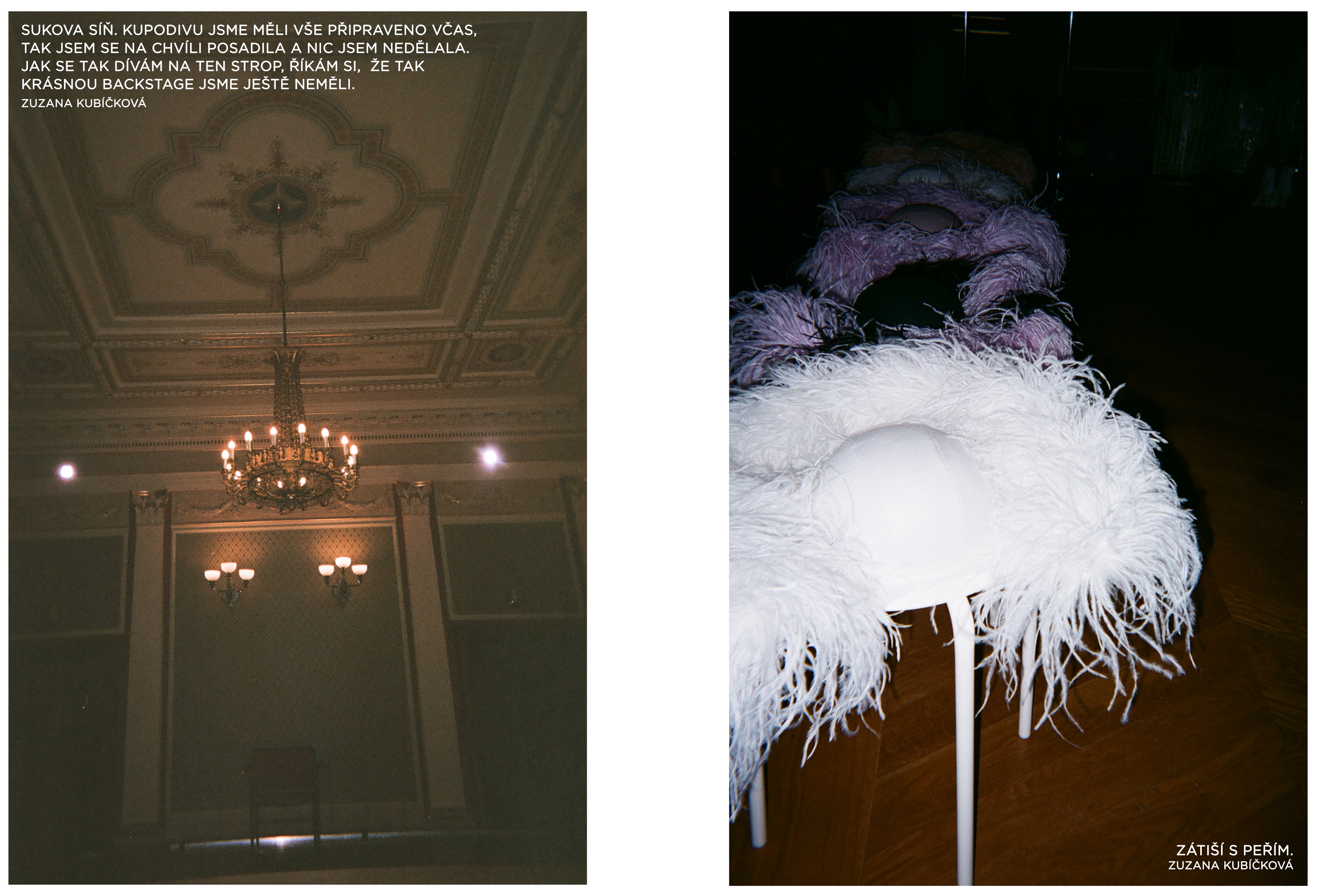 Autor: Zuzana Kubíčková Autor: Zuzana Kubíčková