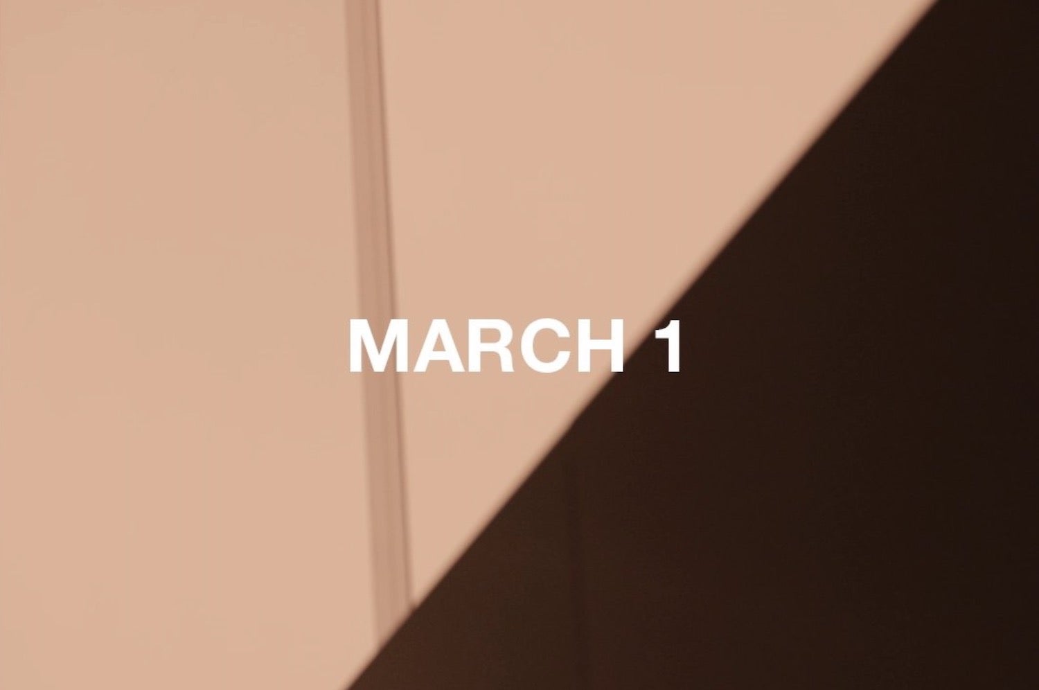 Živě z Paříže: Přehlídka Saint Laurent podzim-zima 2022/2023