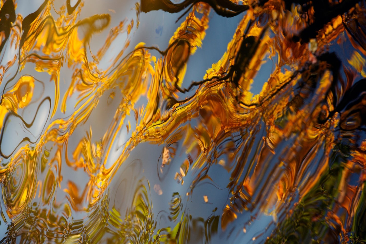 Za světlem mezi světy