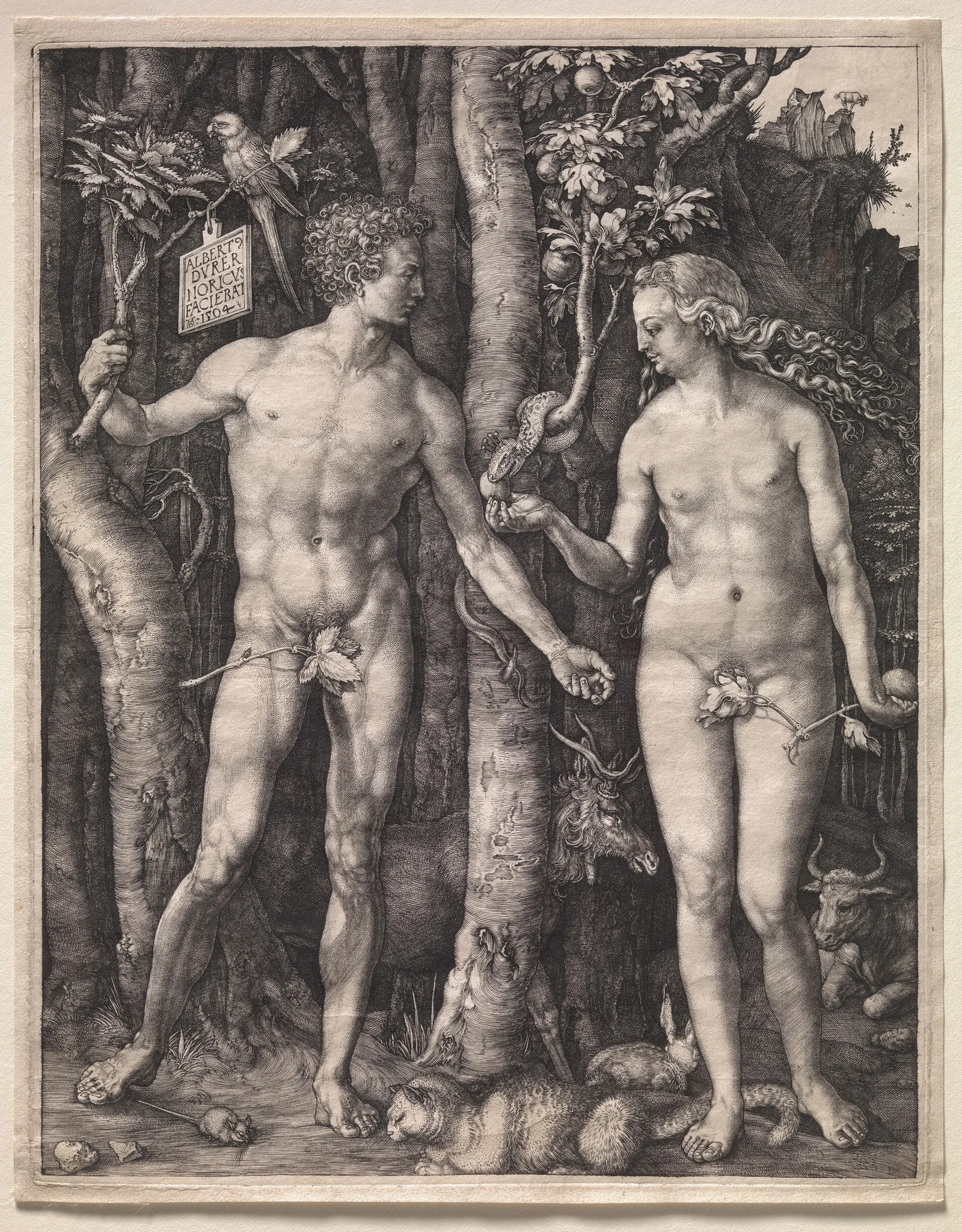 Adam a Eva, Albrecht Dürer, 1504; Fletcher Fund, 1919
