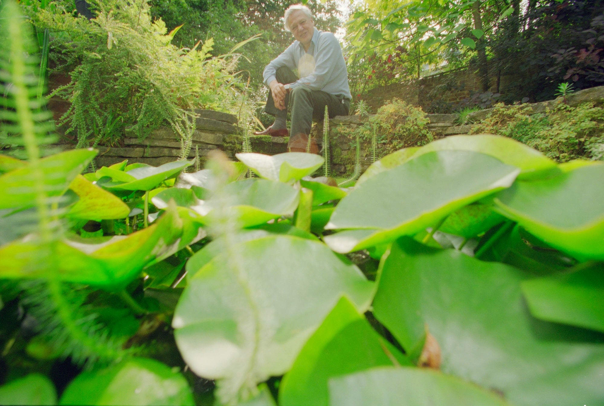 David Attenborough je stoletý. S přírodou musíme spolupracovat, říká