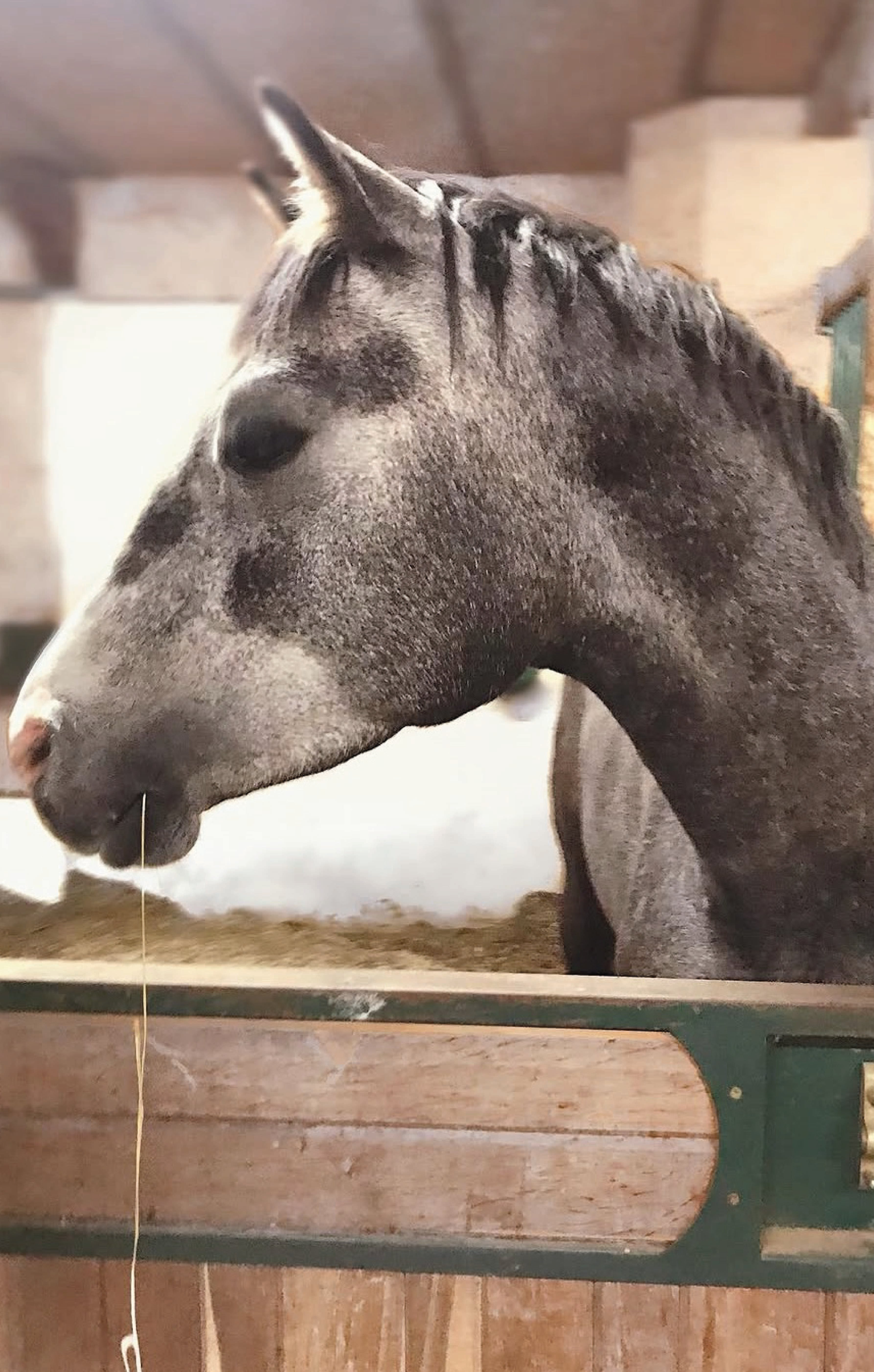 Autor: Emma Kotian Autor: Emma Kotian