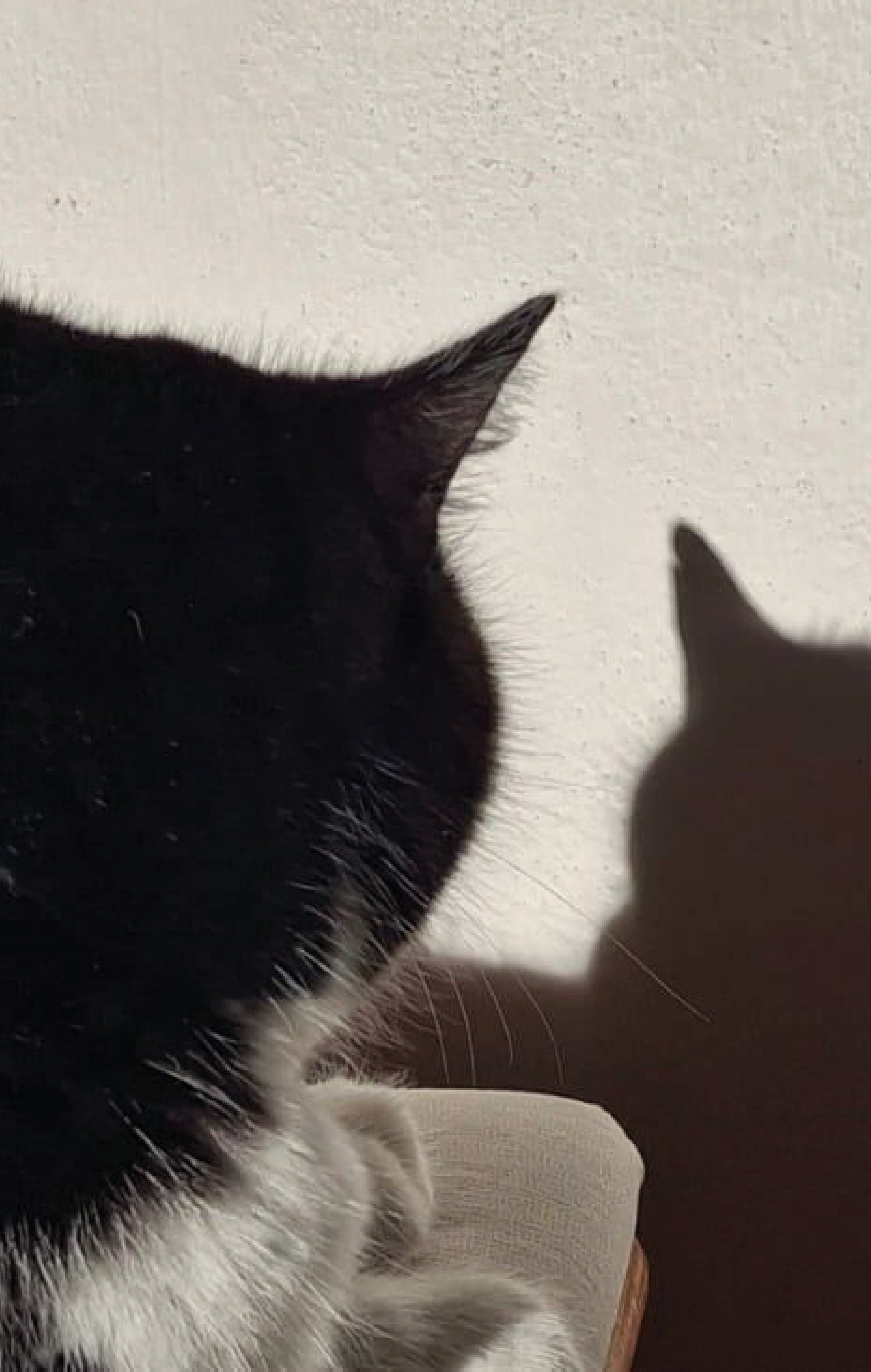 Autor: Bronislava Zavadilová Autor: Bronislava Zavadilová