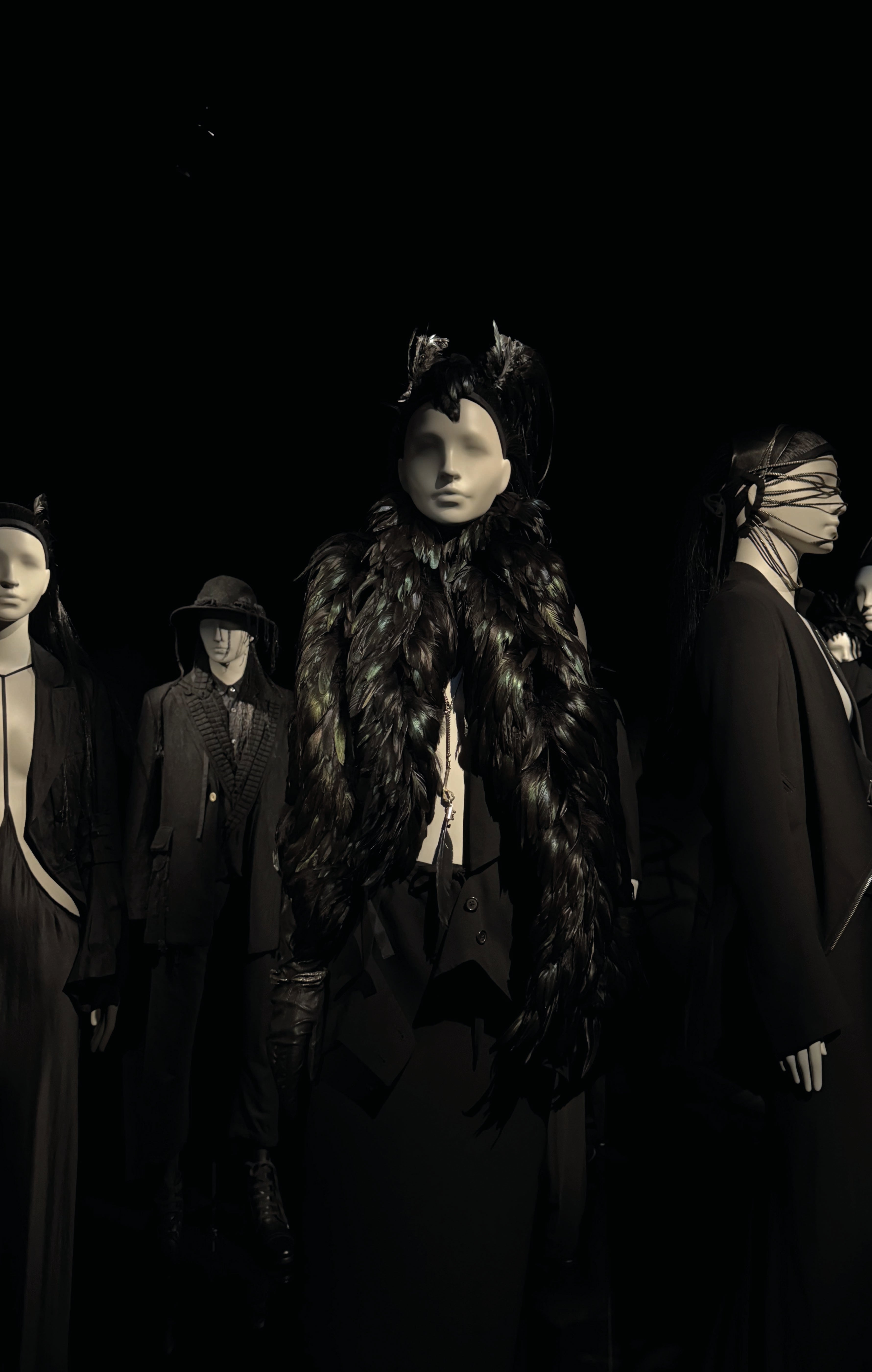 Autor: Viktorie Štěpánová