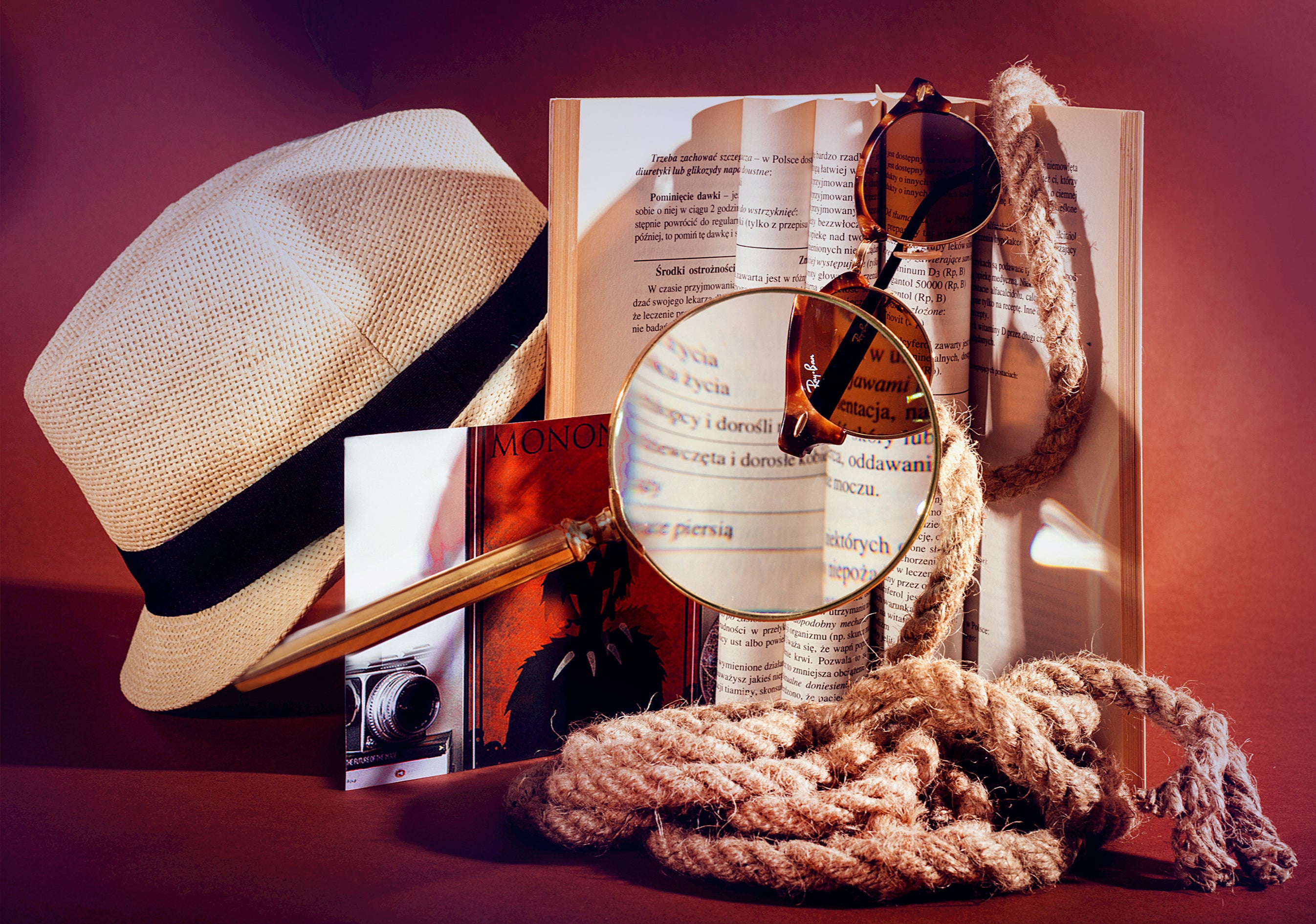 Autor: AGNIESZKA LEŚNIAKIEWICZ