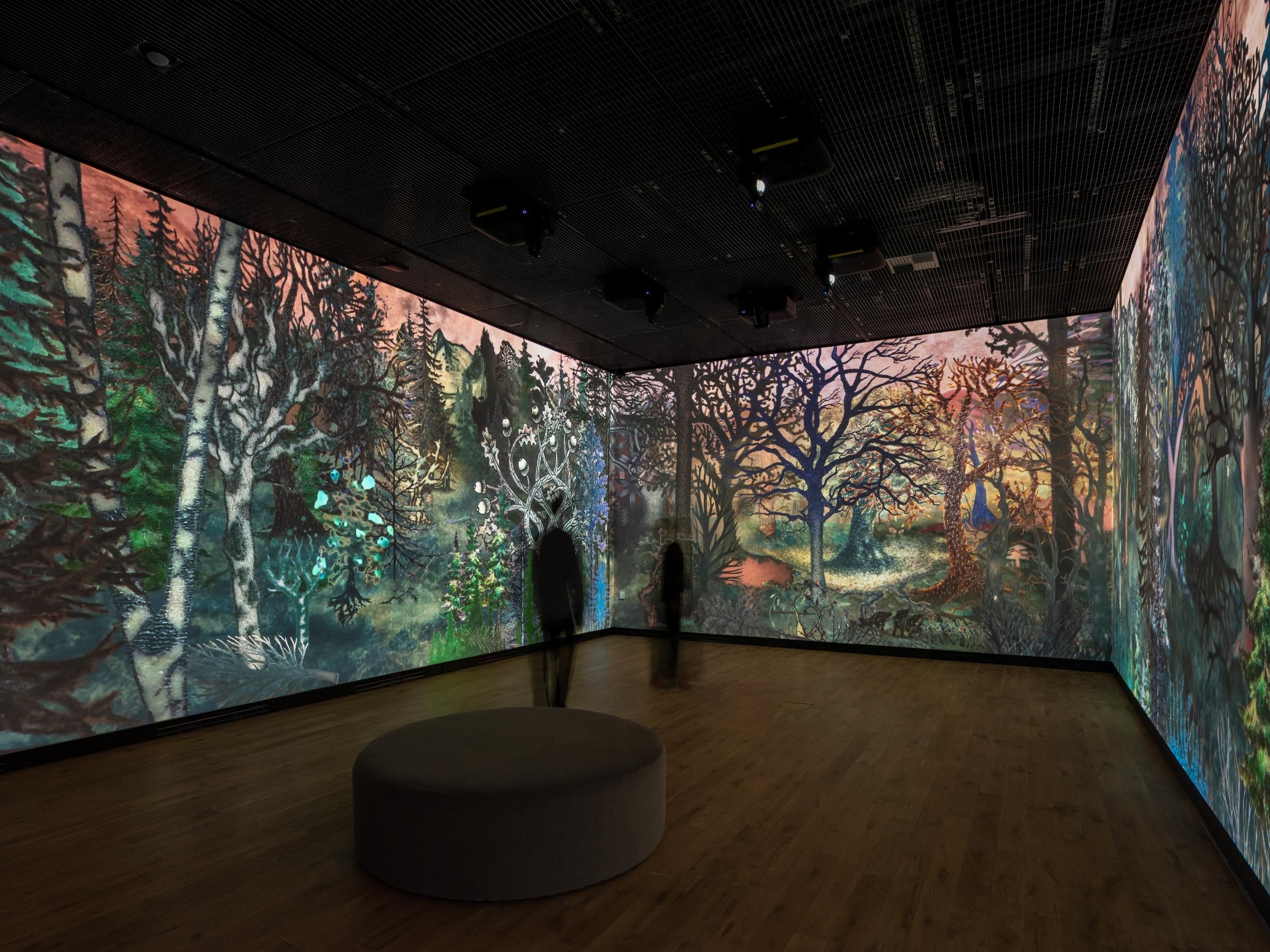 Kristýna a Marek Milde: Volání lesa