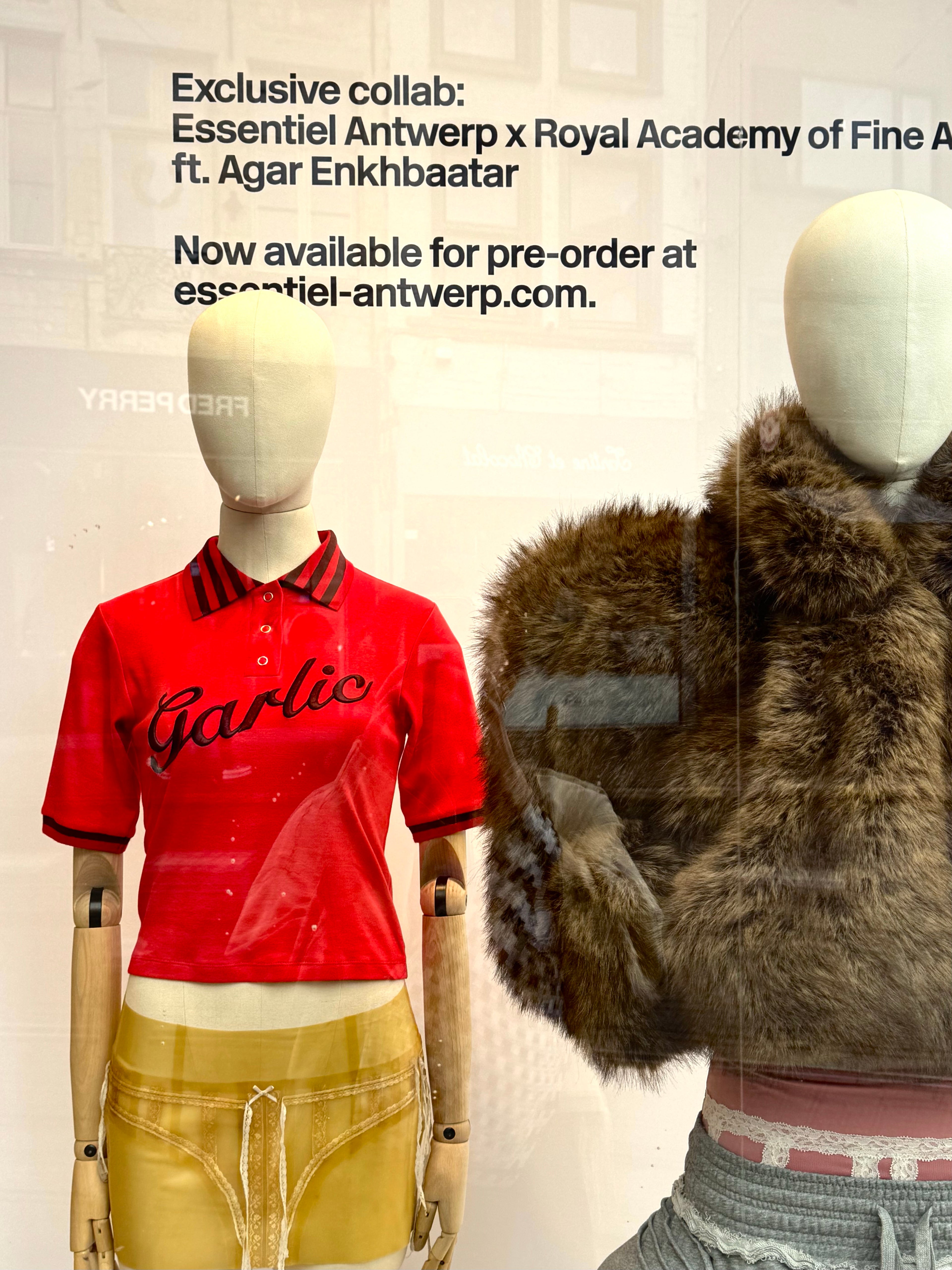 Fashion window