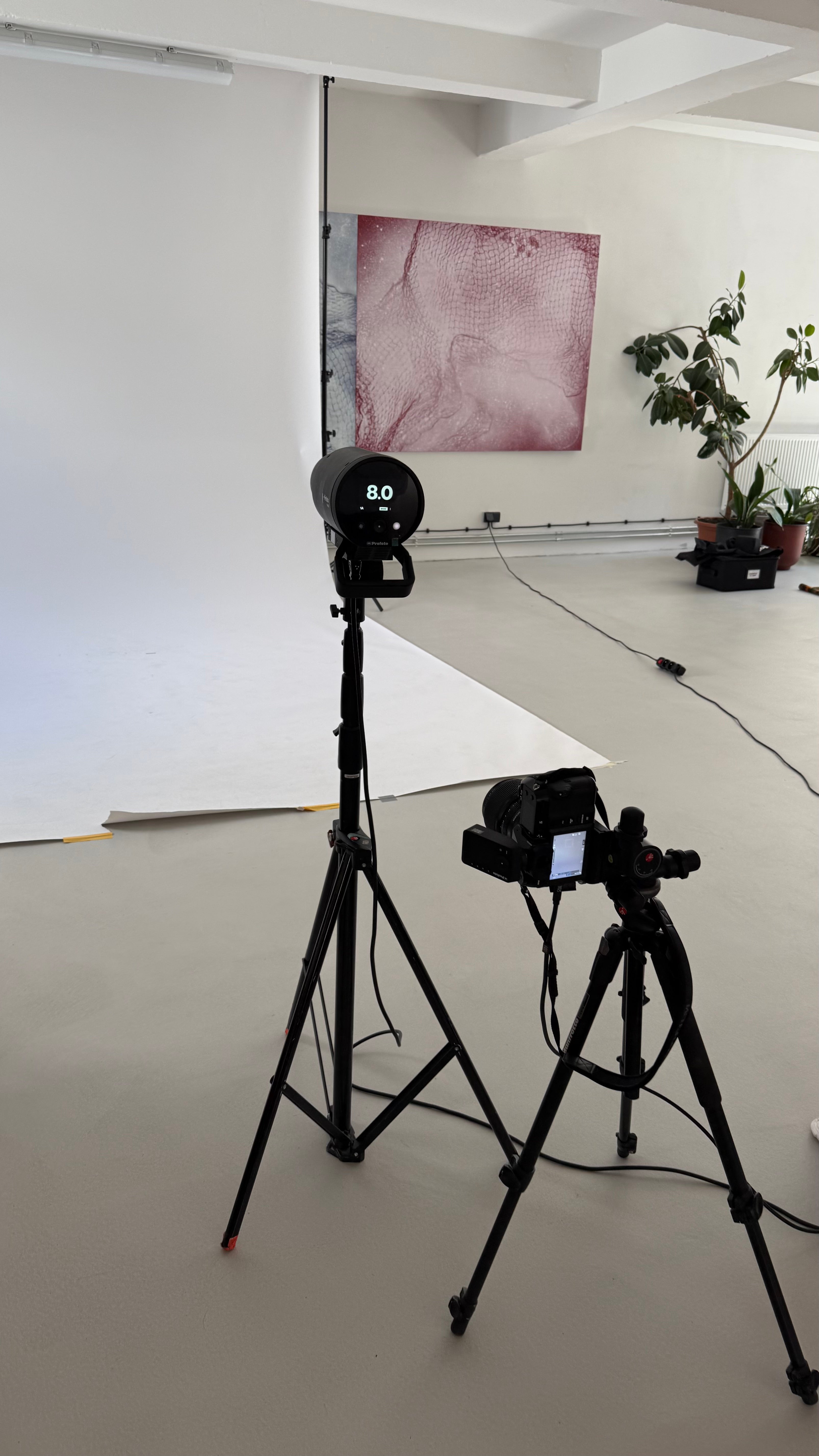 Autor: Barbora Brušková Autor: Barbora Brušková