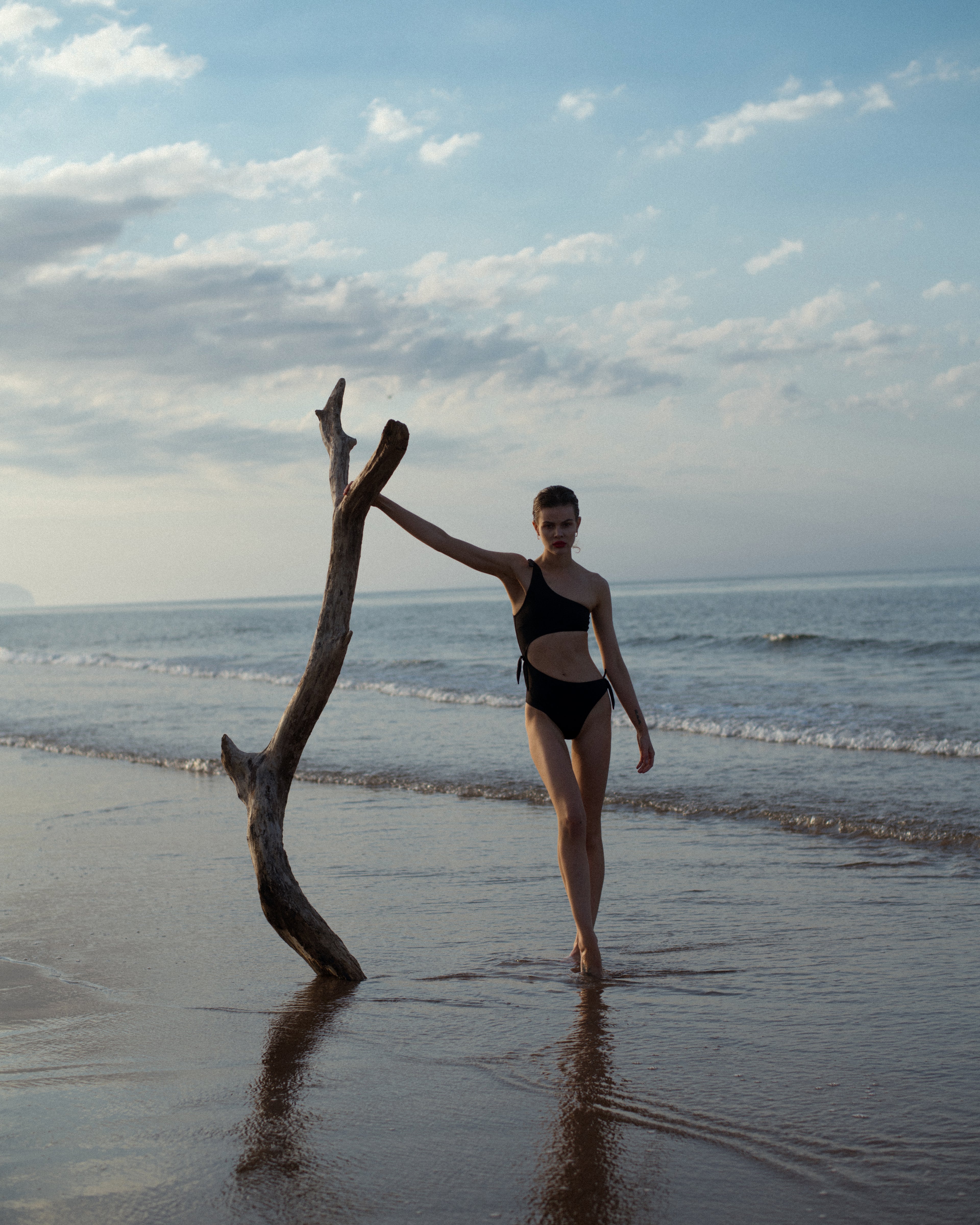 Autor: Aleksandra Modrzejewska