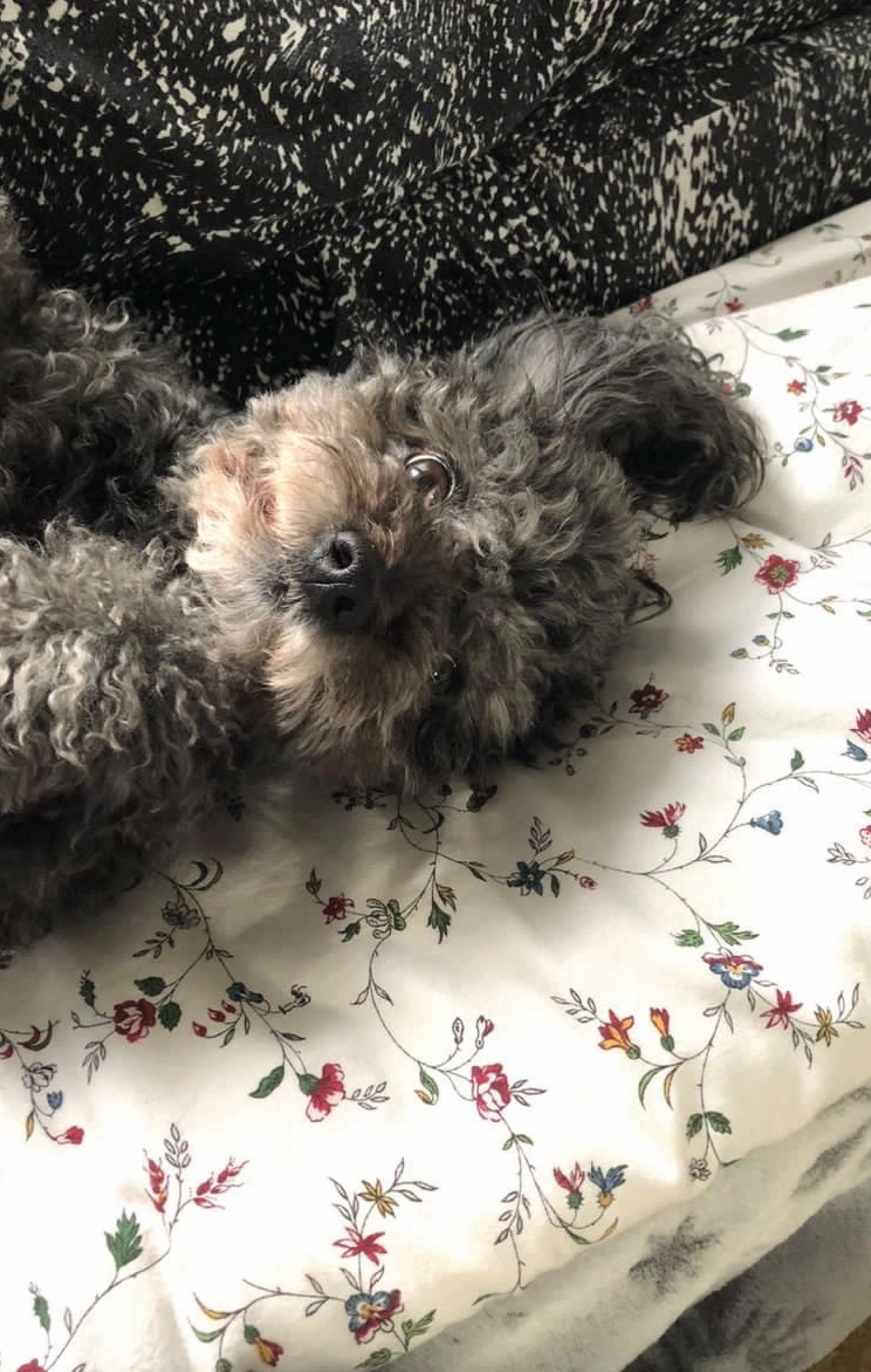 Autor: Barbora Joštová Autor: Barbora Joštová