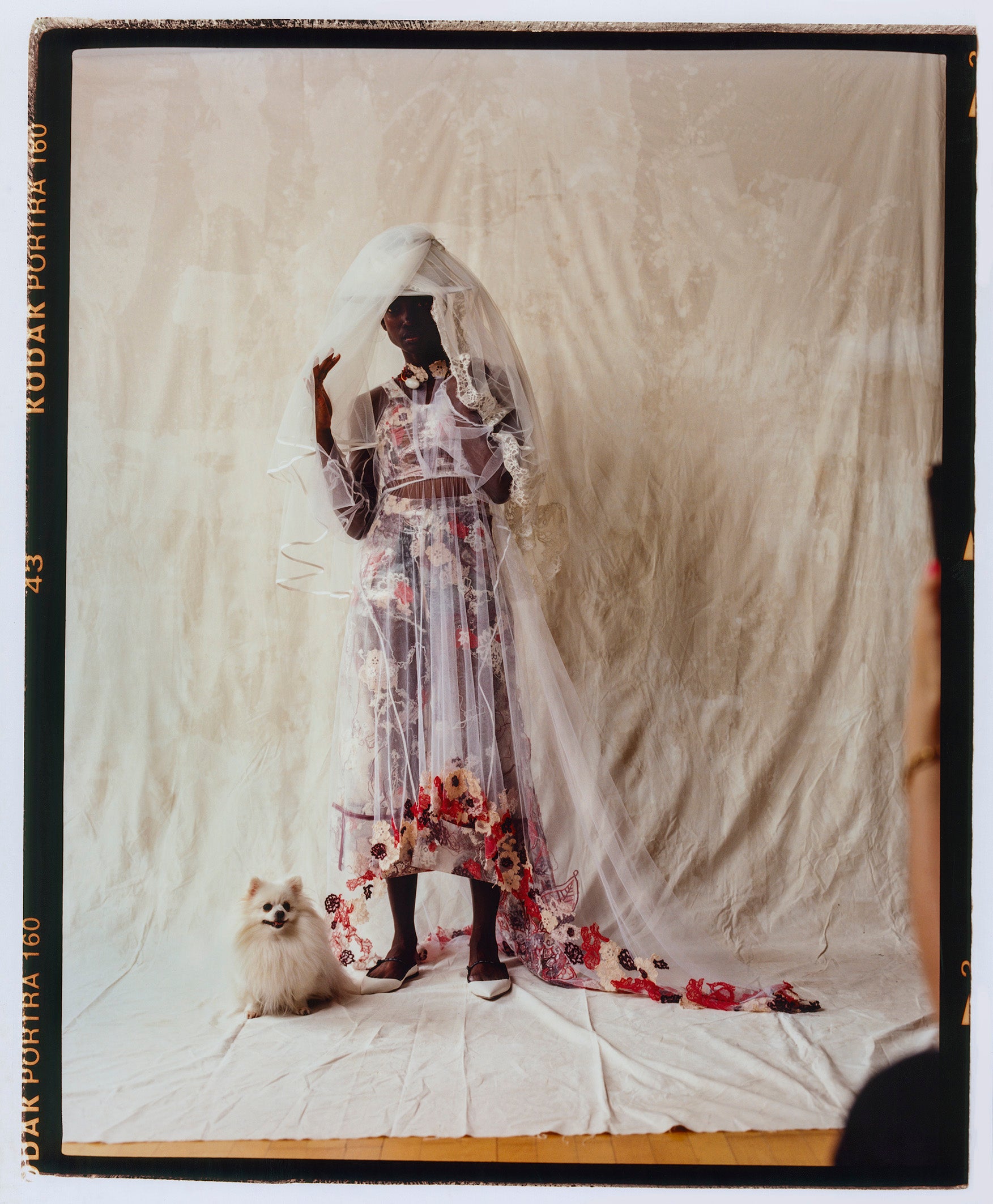 Interview with Tolu Coker of Tolu Coker 