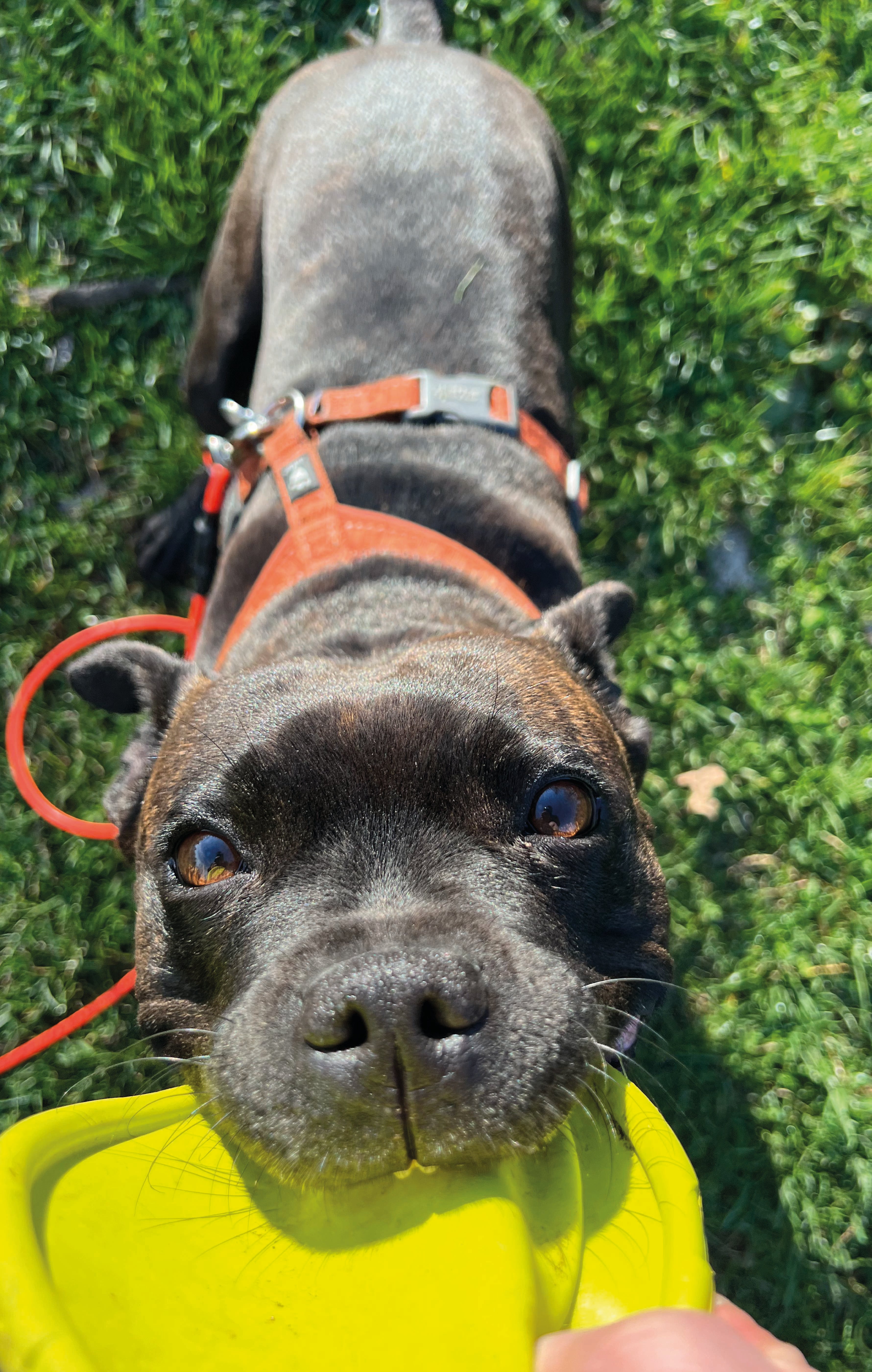 Autor: Róbert Kováč Autor: Róbert Kováč