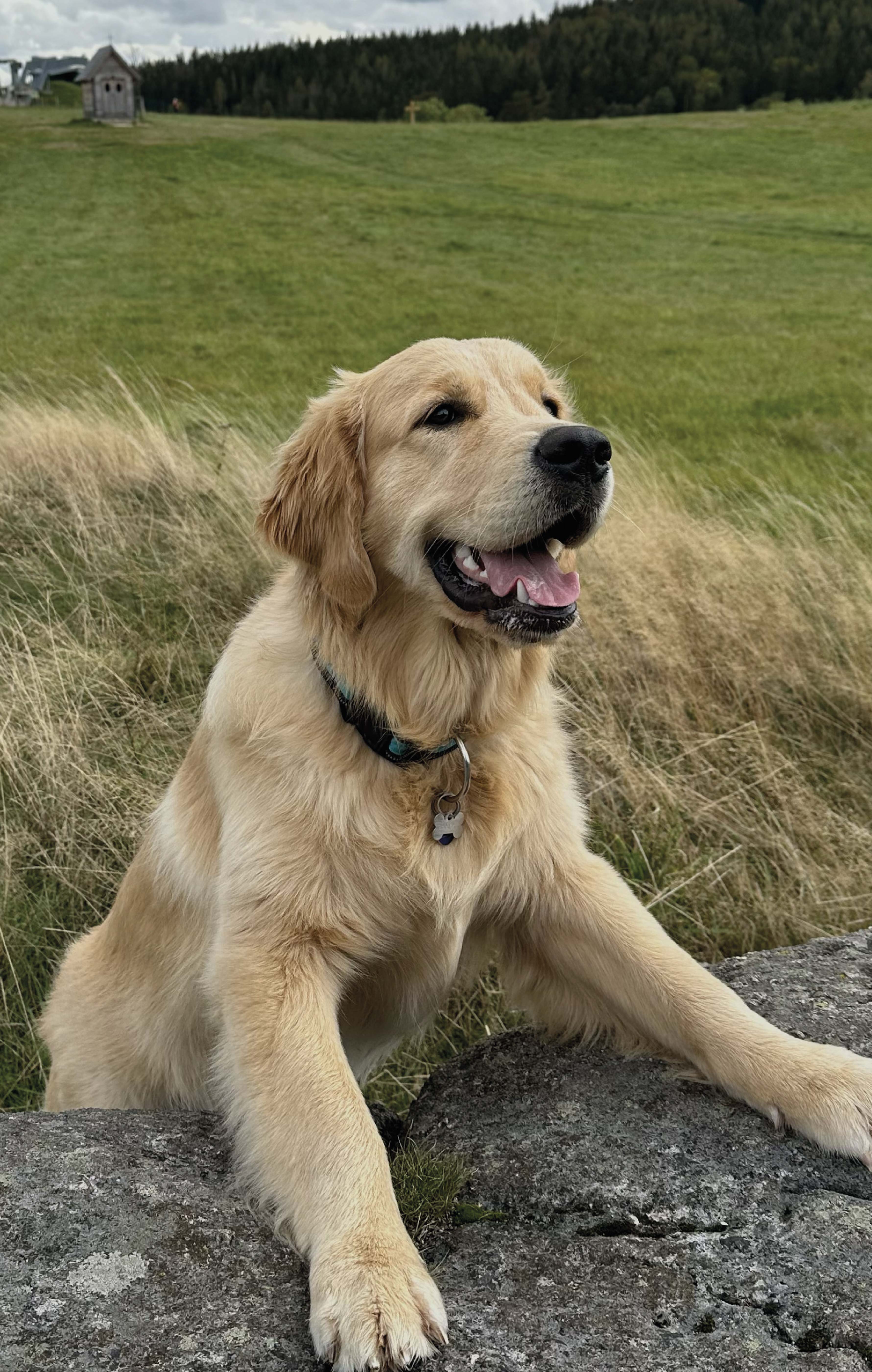 Autor: Alžběta Prosová Autor: Alžběta Prosová