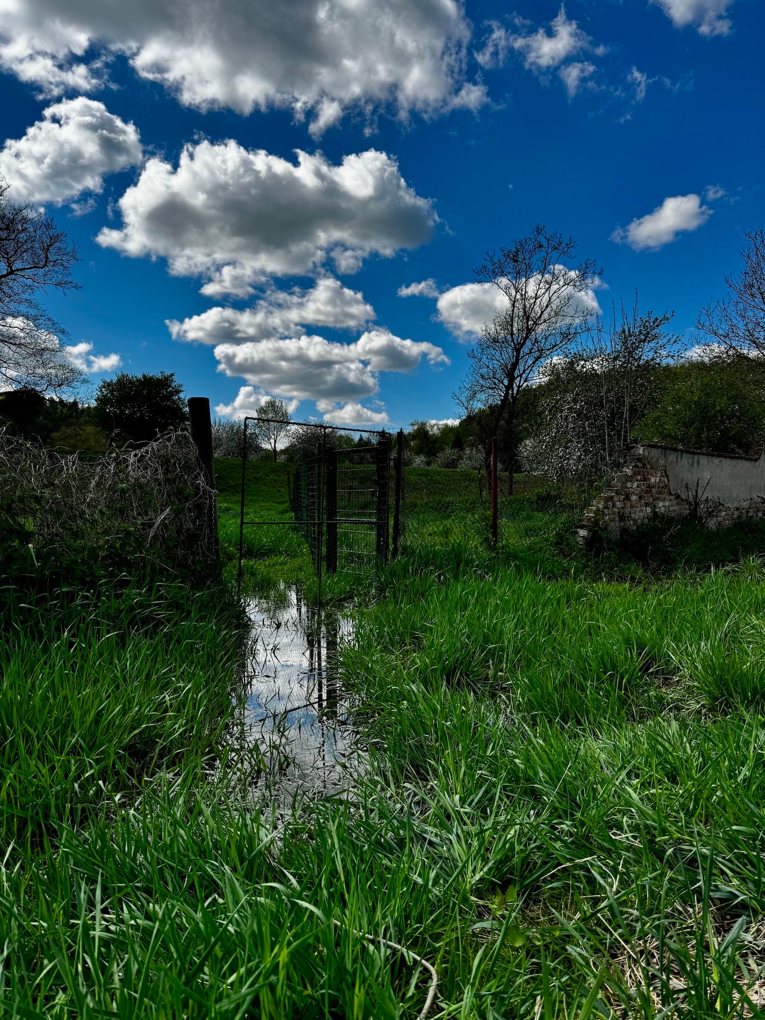 Trasa Suchdol – Únětice – Roztoky u Prahy