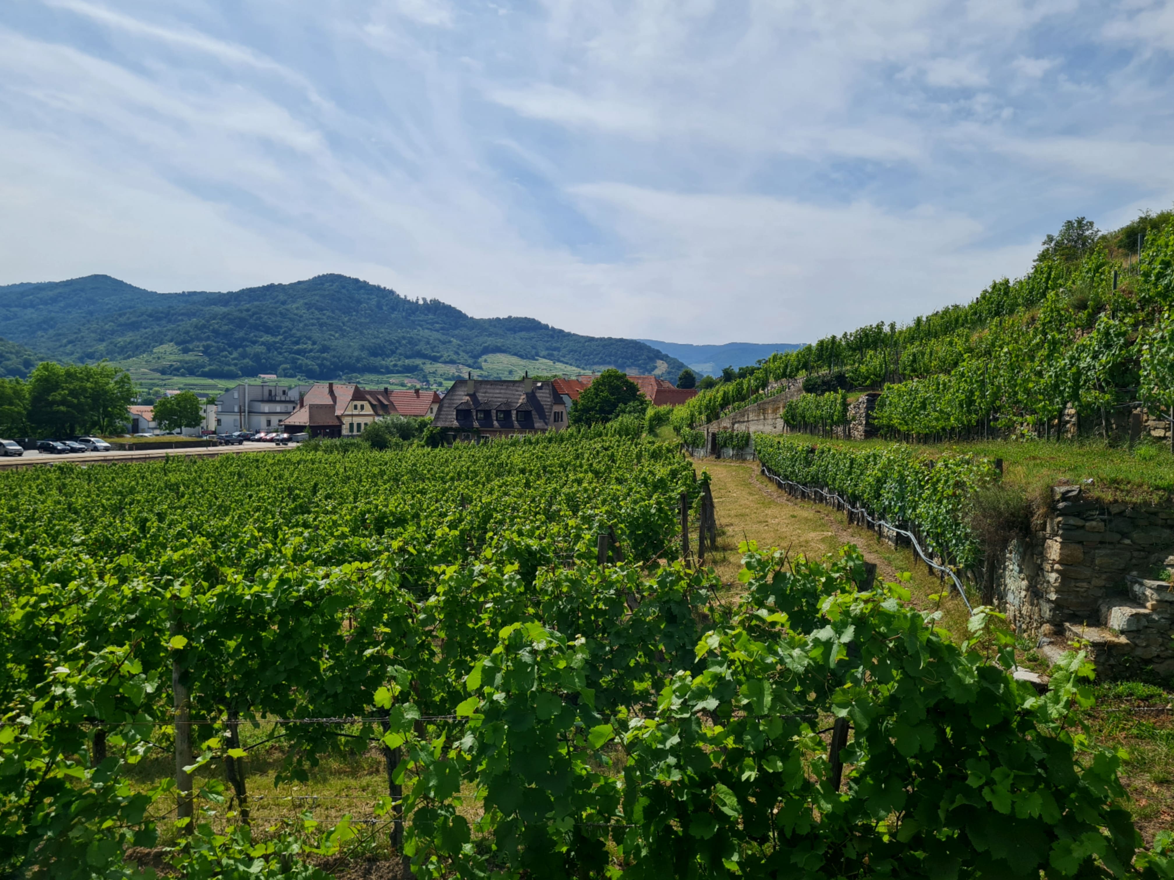 Wachau