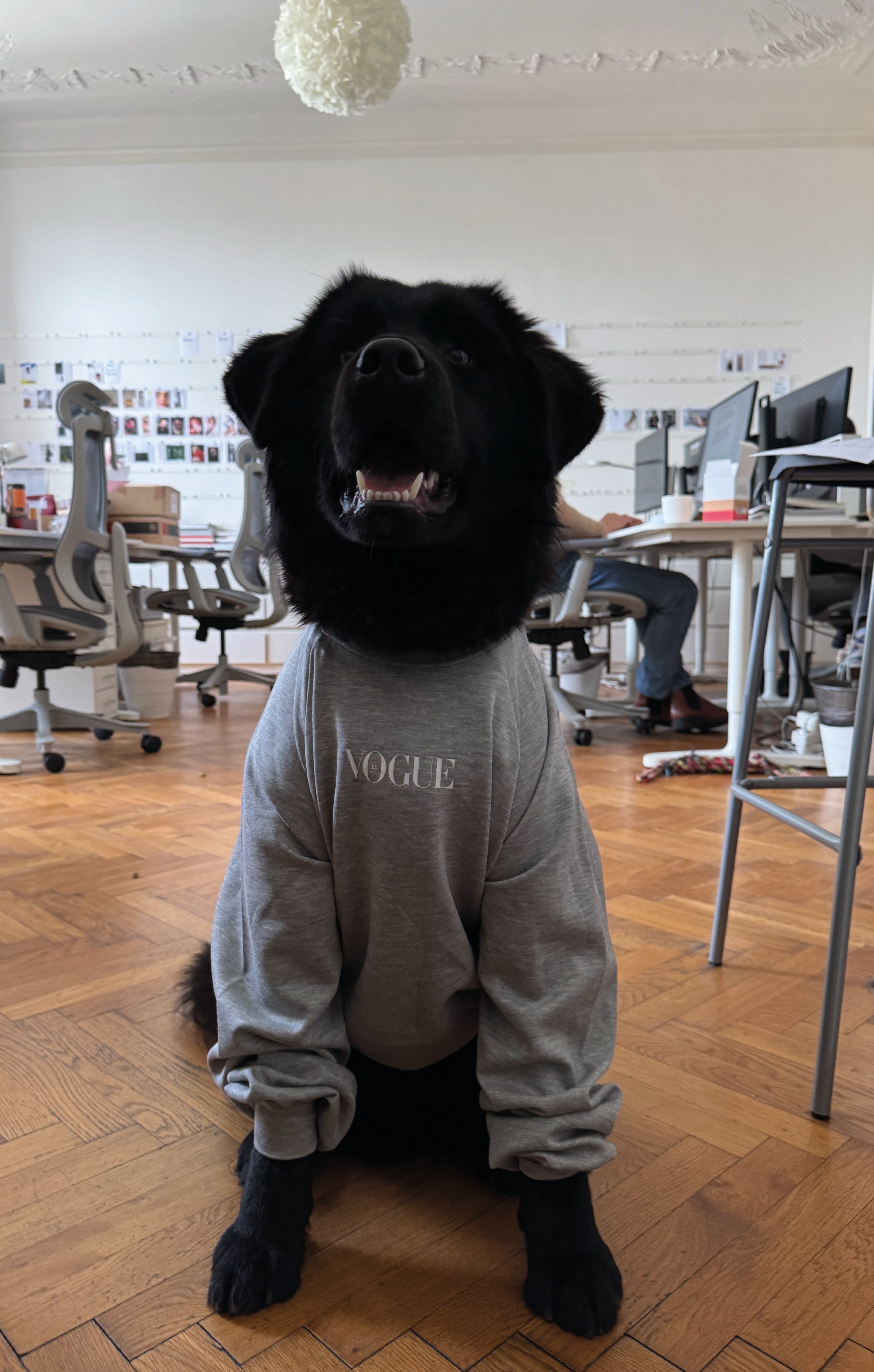 Autor: Milena Žuravljova Autor: Milena Žuravljova