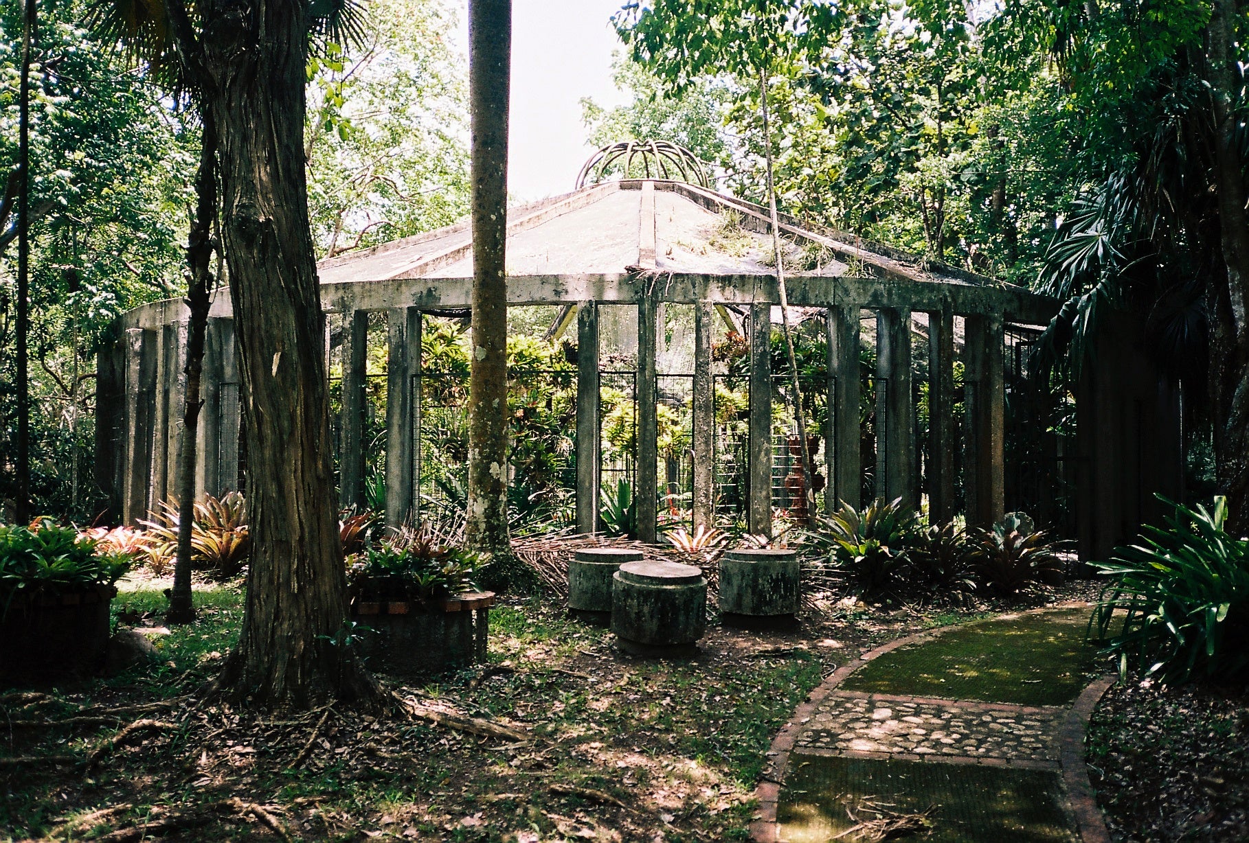 Město skrz zelené brýle