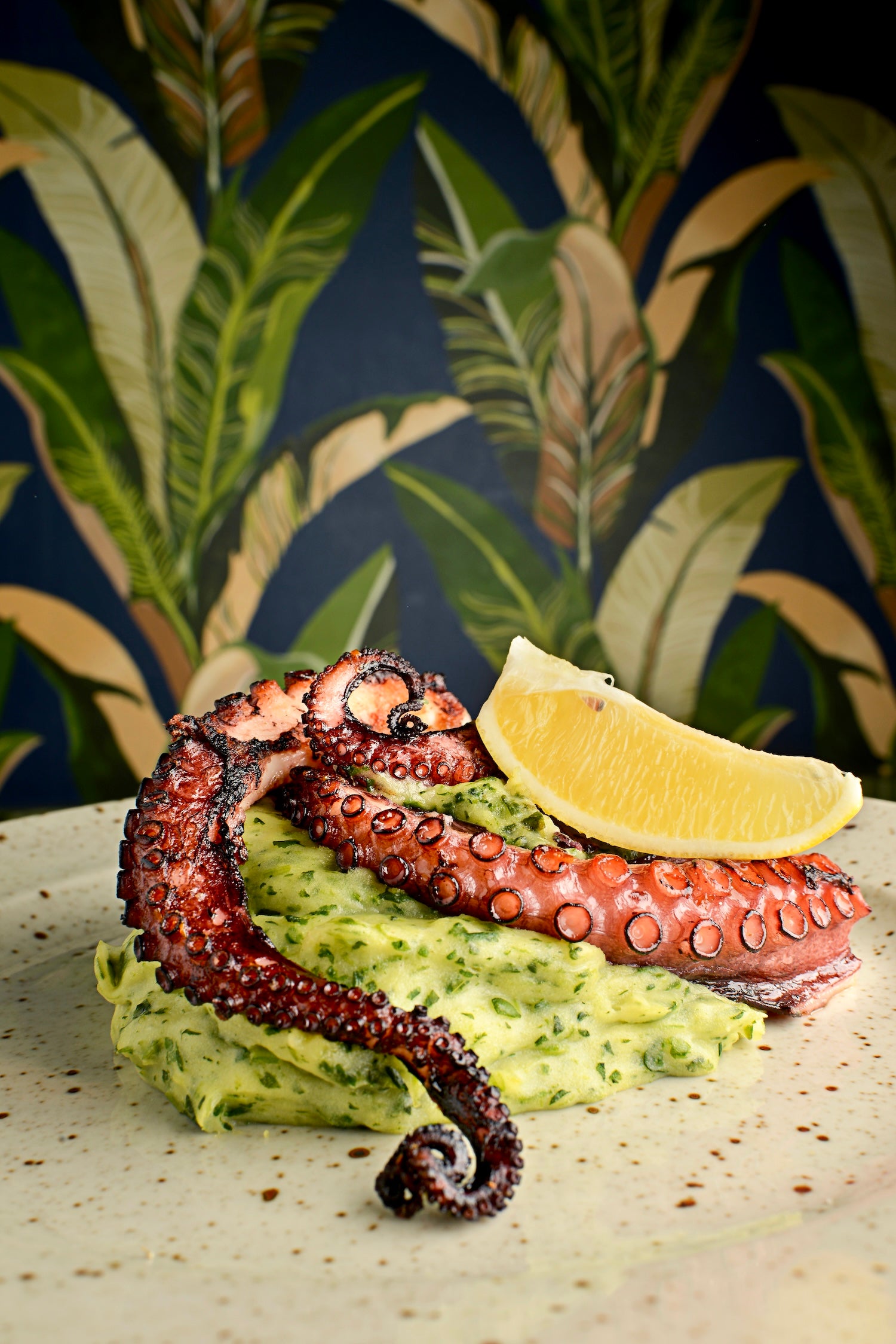 Chobotnice s bramborovým pyré a špenátem