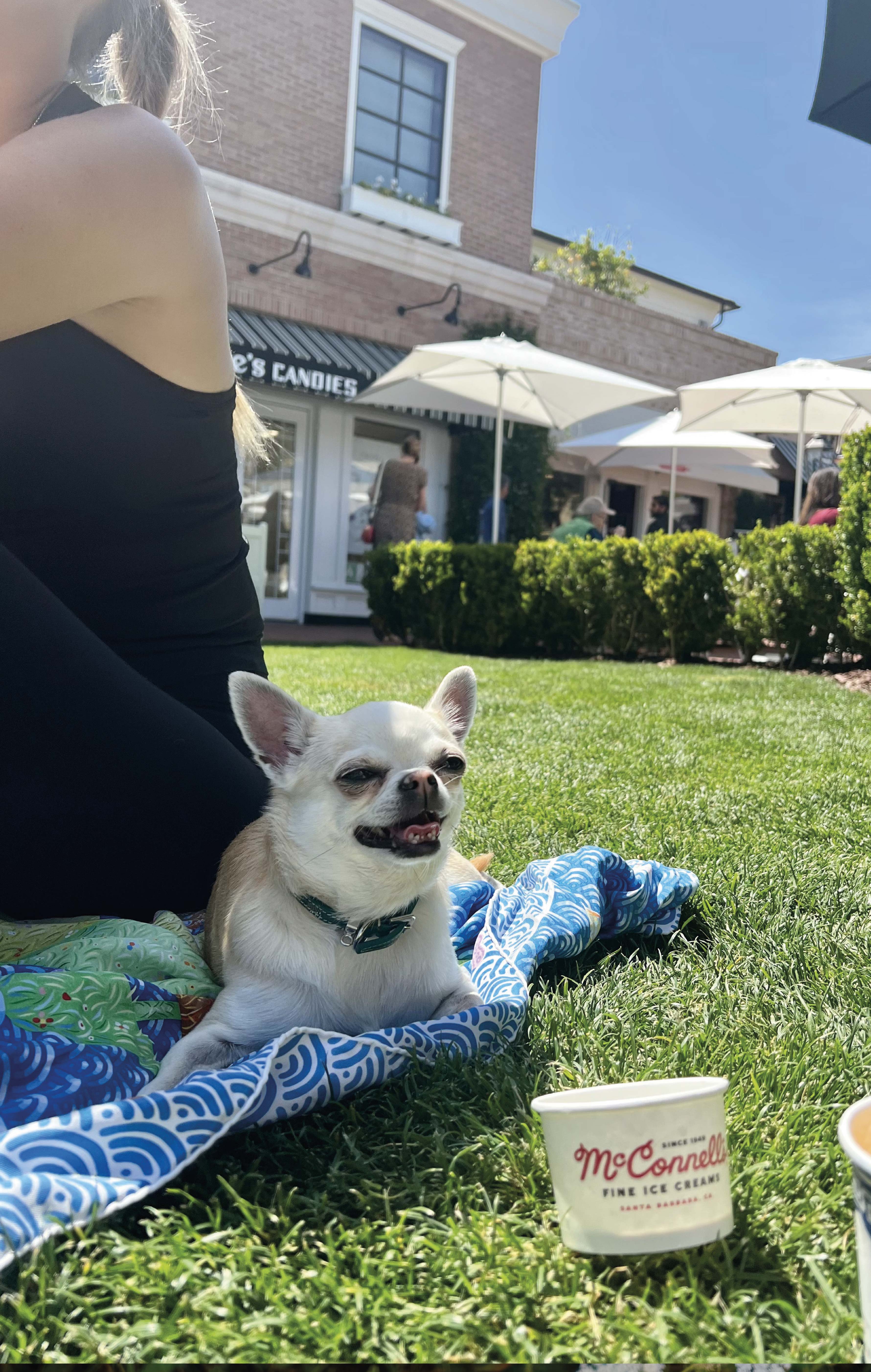 Autor: Anežka Lišková Autor: Anežka Lišková