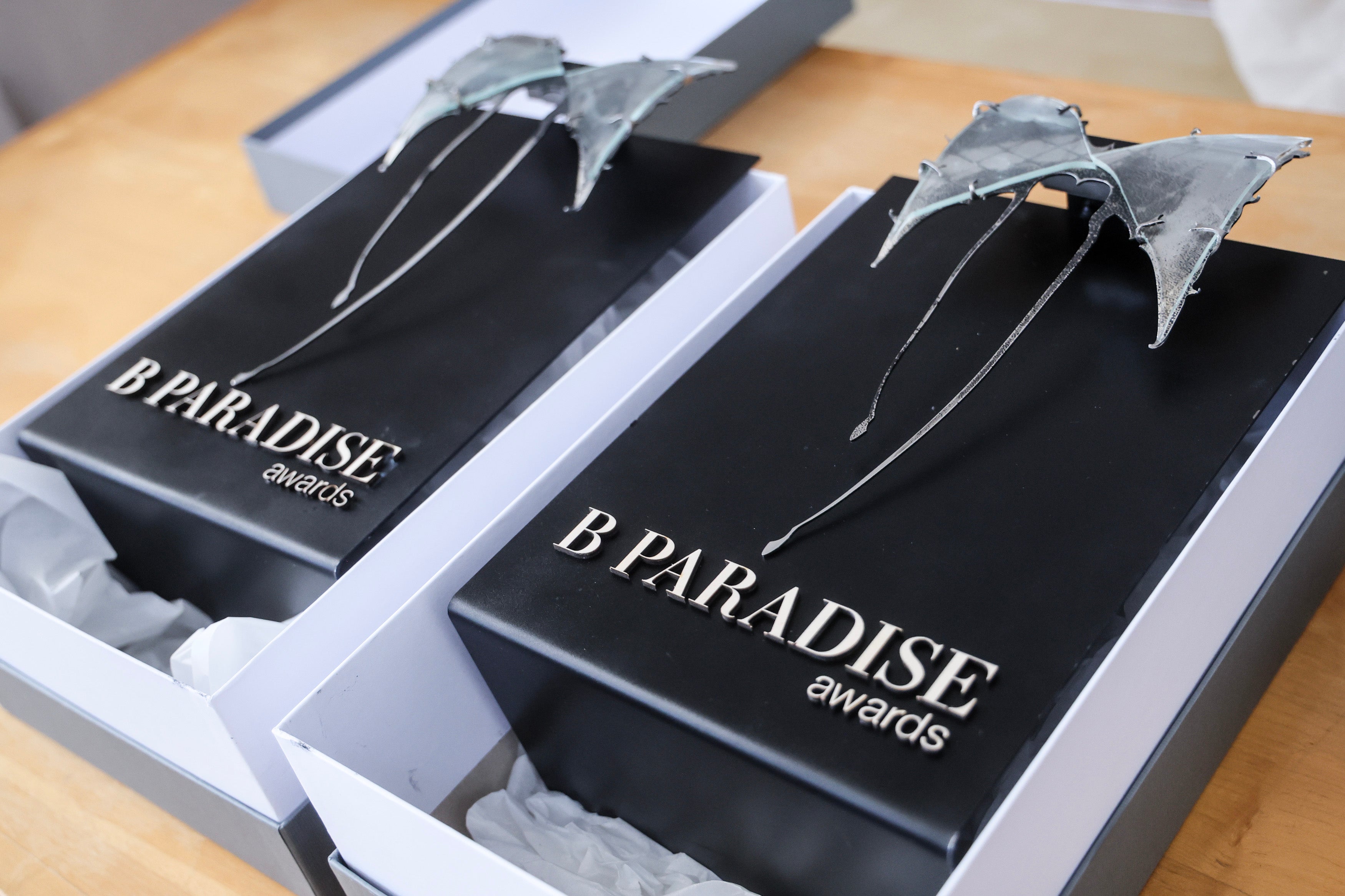 B Paradise Awards otevřely novou éru podpory lokálních talentů