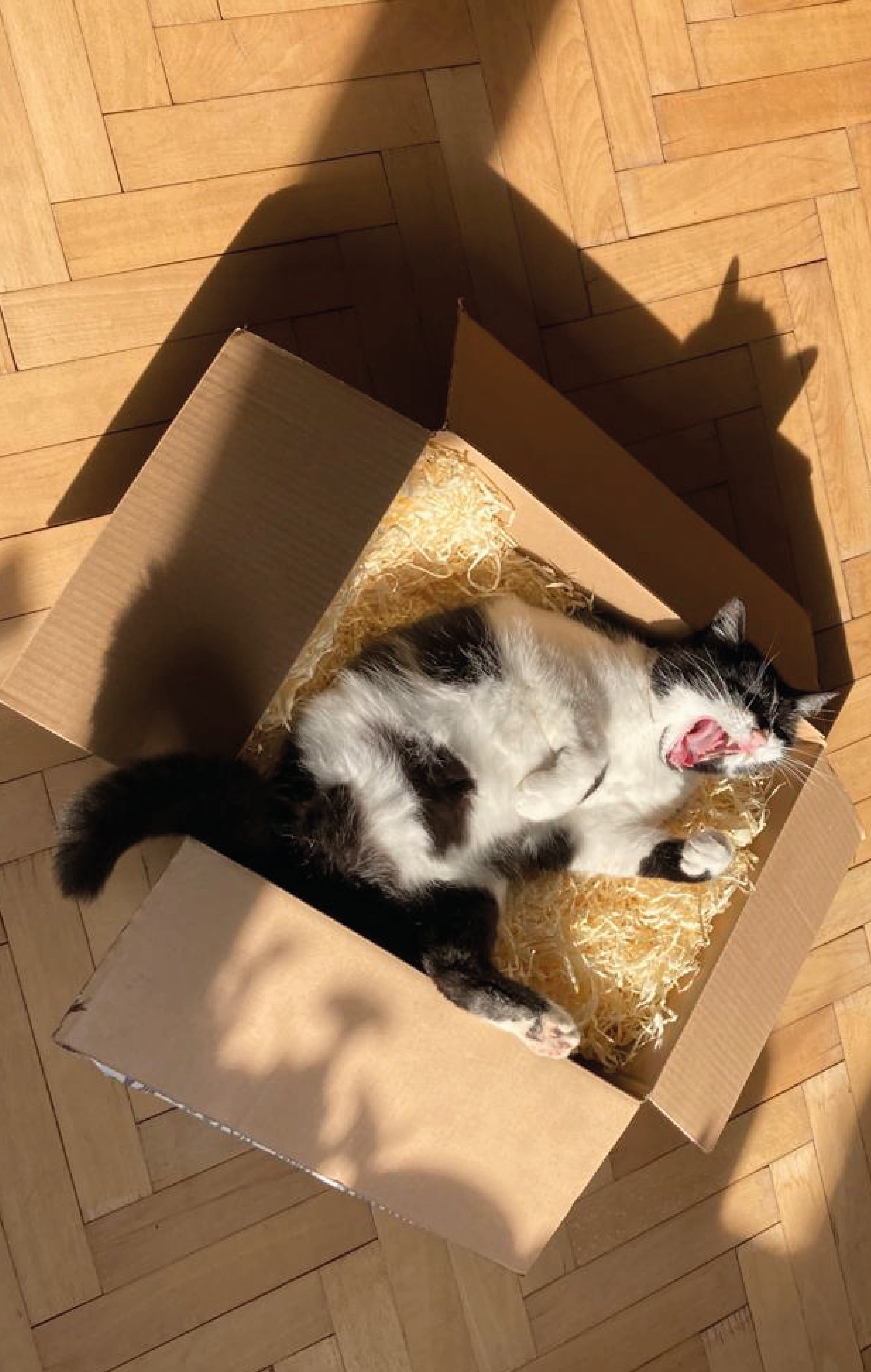 Autor: Bronislava Zavadilová