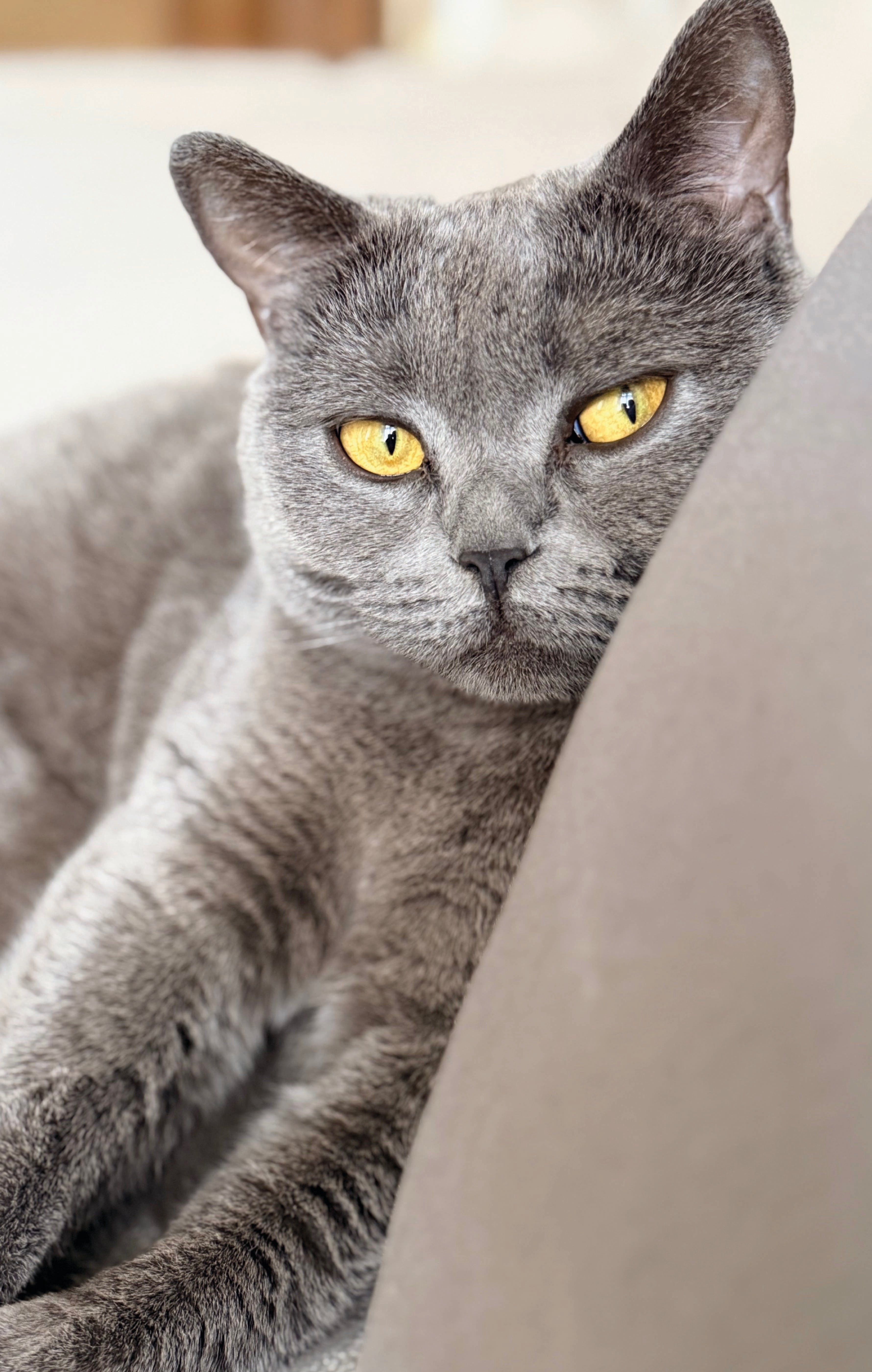 Autor: Cindy Kerberová Autor: Cindy Kerberová