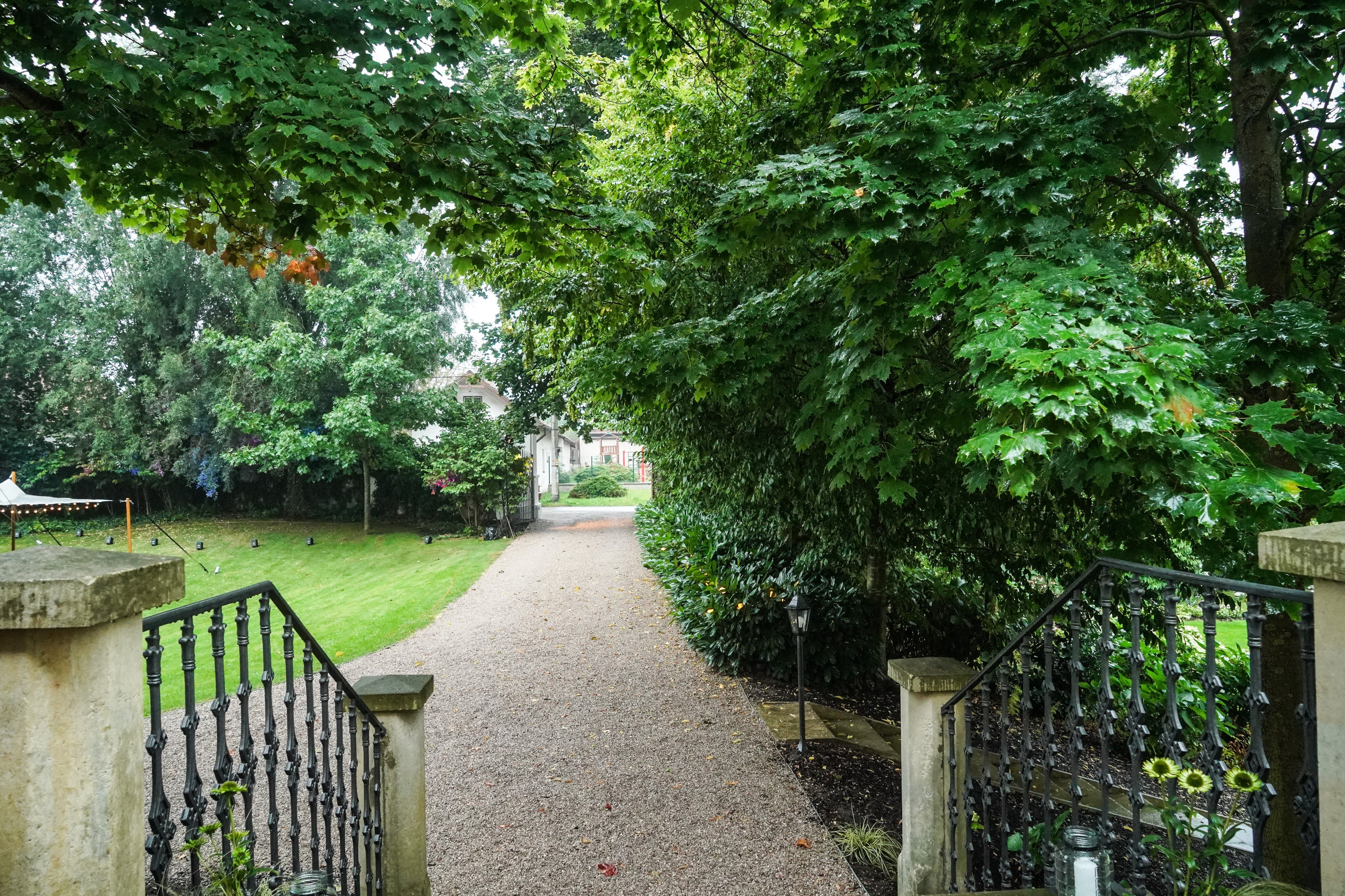 Obrázek 6 z galerie