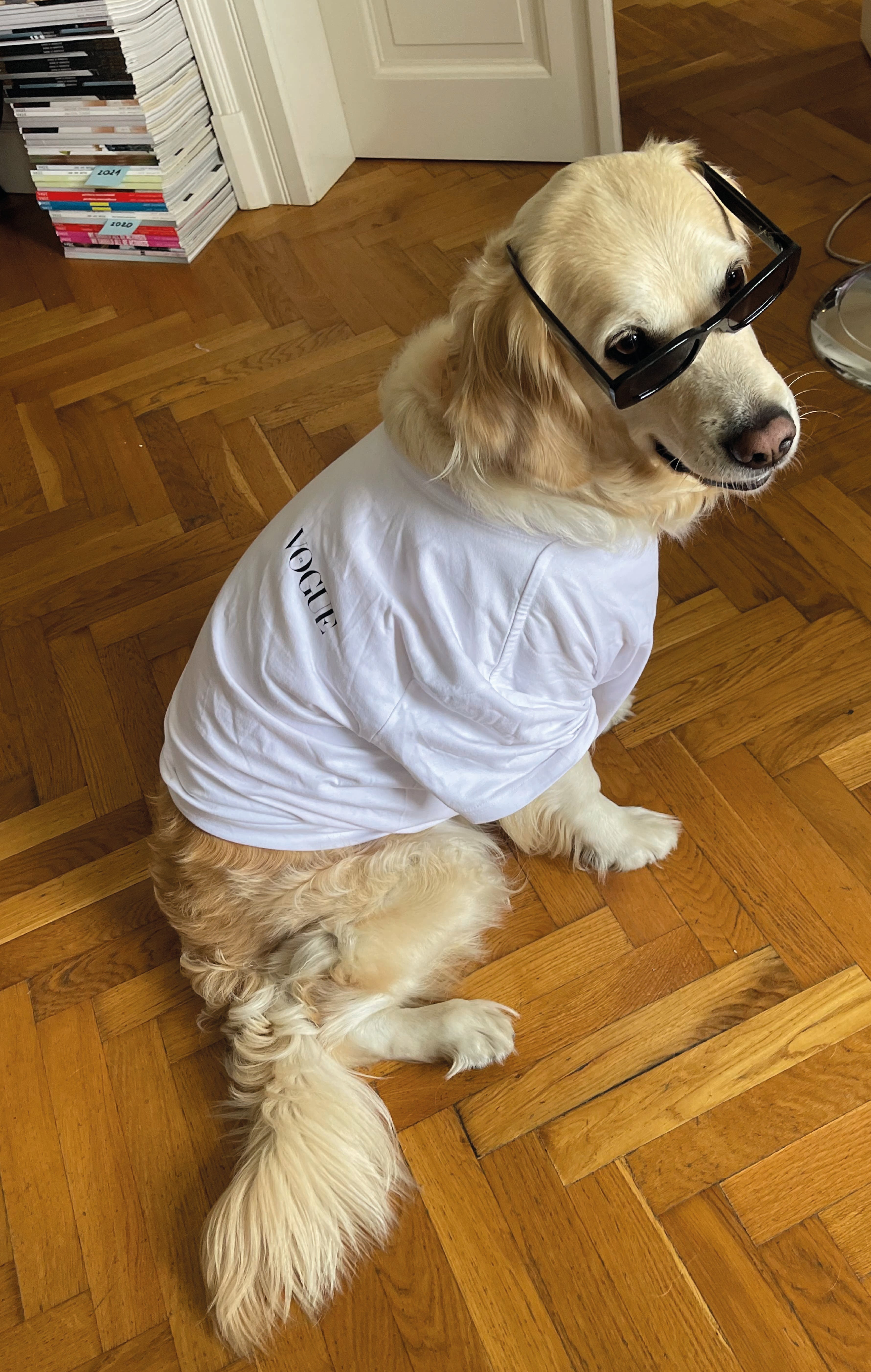 Autor: Milena Žuravljova Autor: Milena Žuravljova