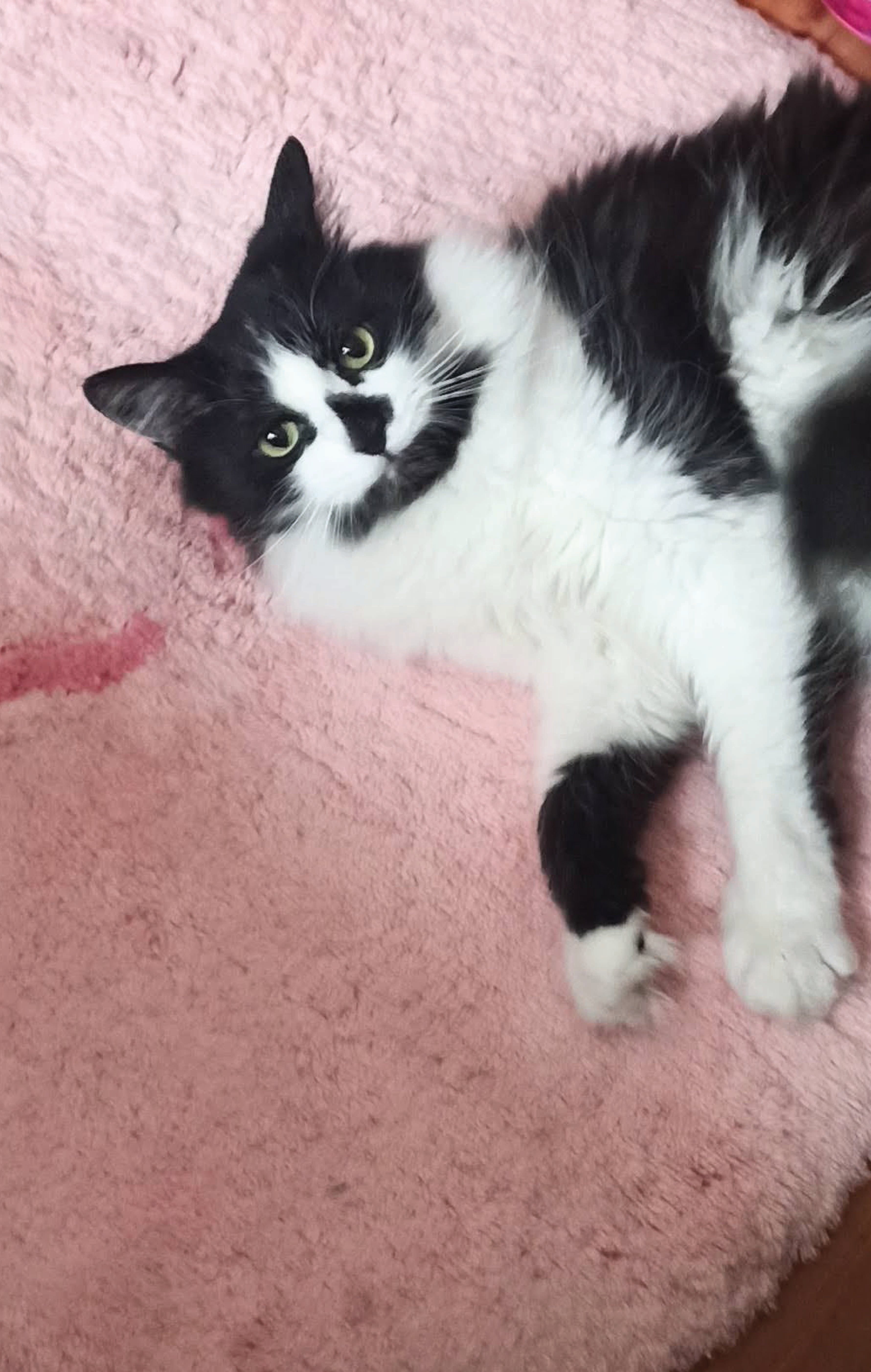 Autor: Jana Patočková Autor: Jana Patočková