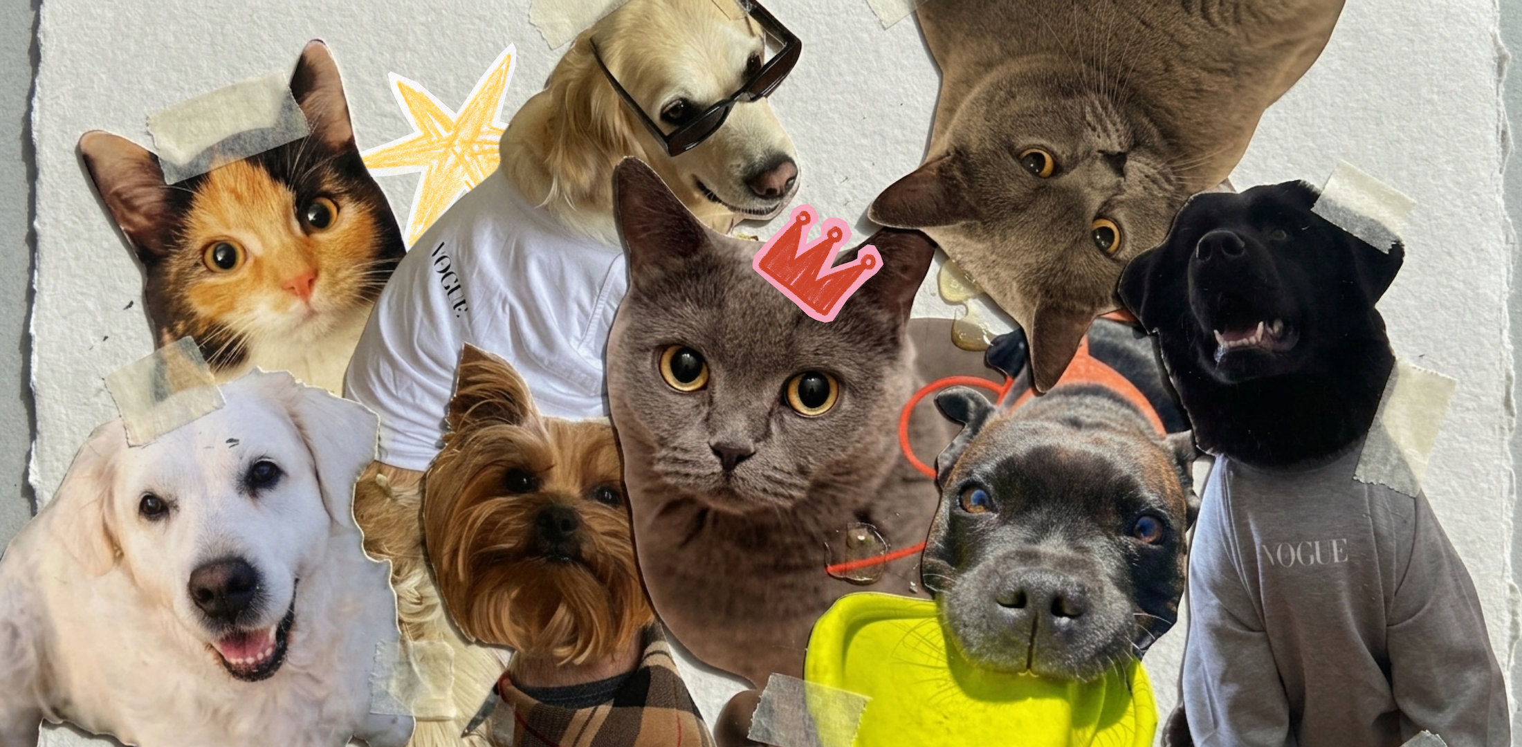 Dogue a catwalk: seznamte se s redakčními mazlíčky