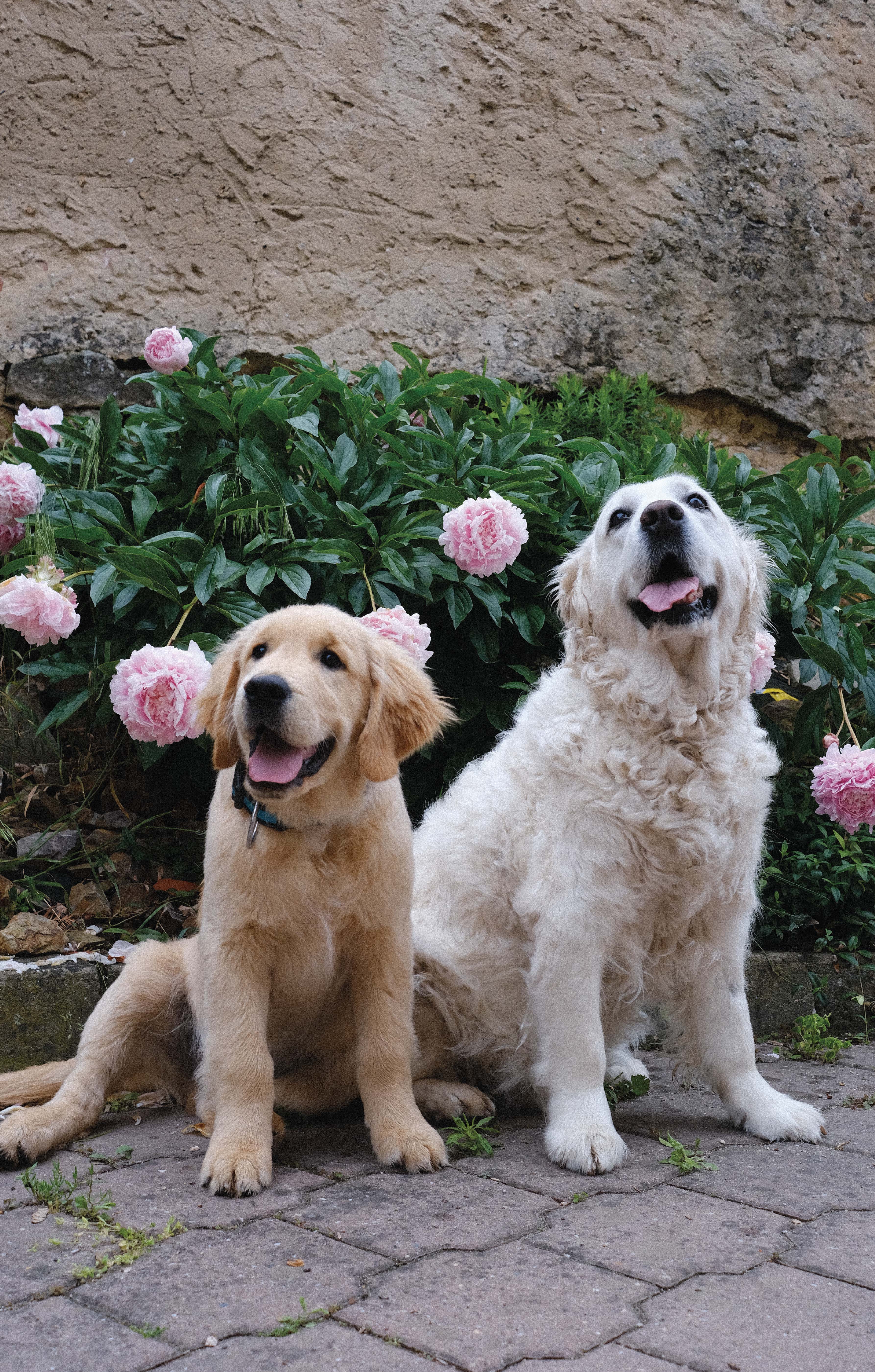 Autor: Alžběta Prosová Autor: Alžběta Prosová