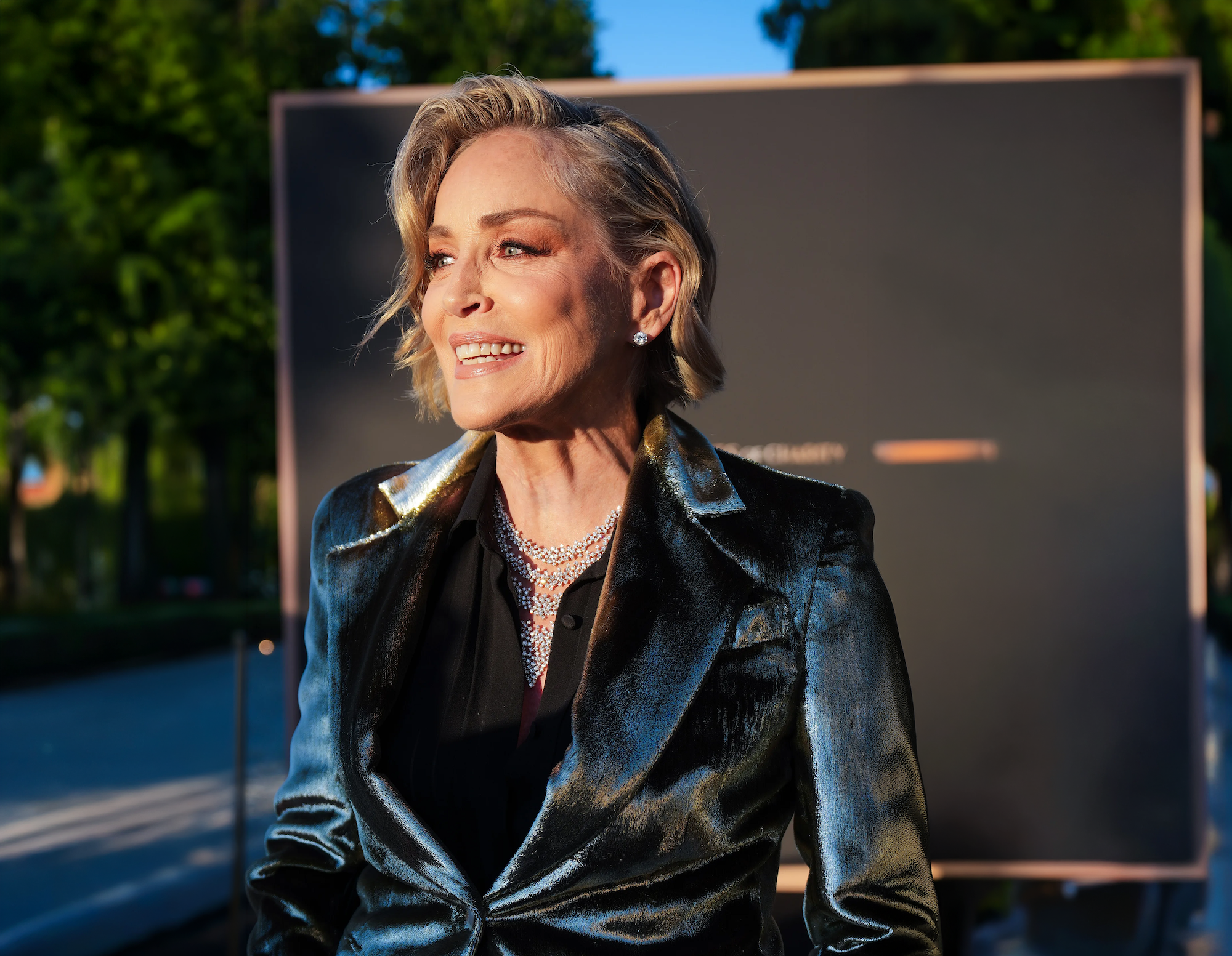 Sharon Stone otevřeně o stárnutí, malování a životě po mrtvici