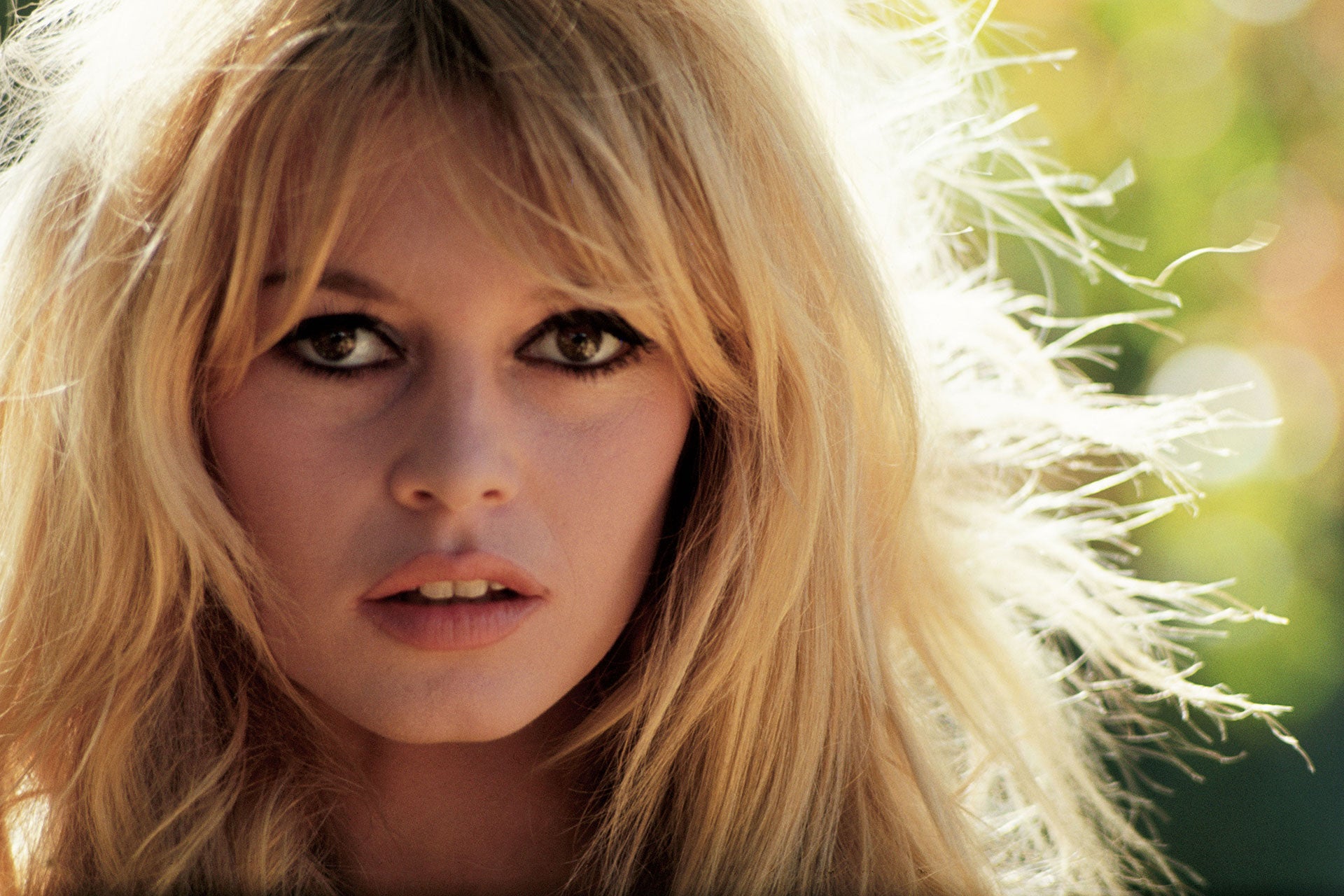 Problém s Brigitte Bardot: Lze skutečně oddělit umění od umělce?
