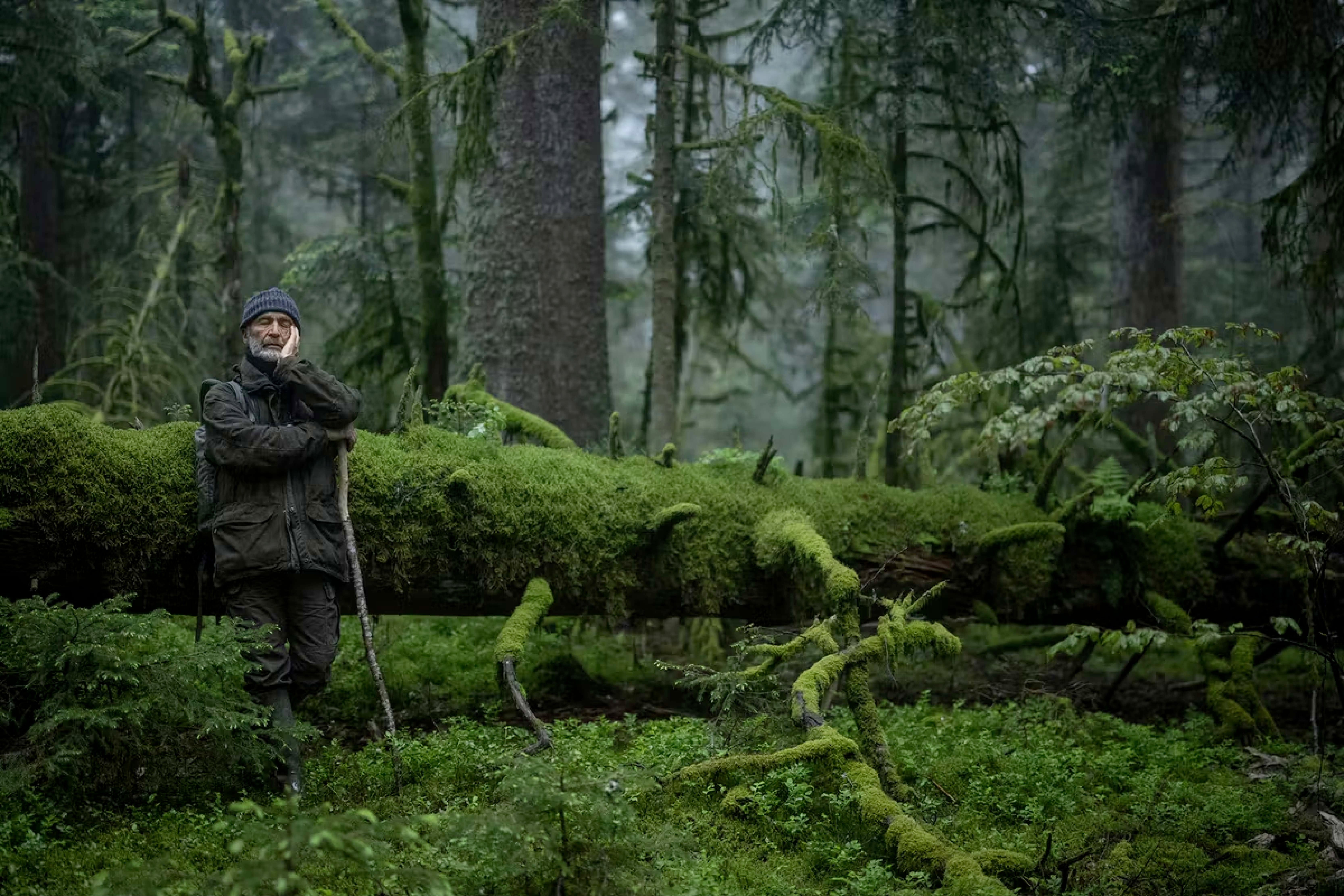 Velká jména kinematografie, debuty i pocta Paolu Sorrentinovi. Co vidět během Dnů evropského filmu?